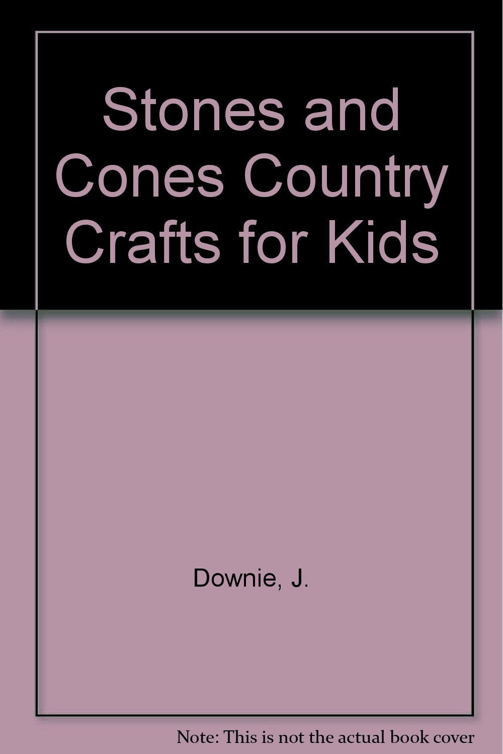 Stones and Cones Country Crafts for Kids Books