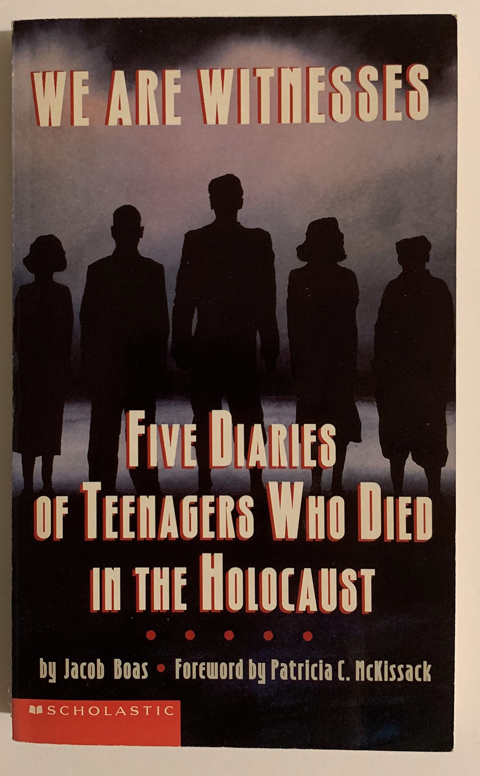 We Are Witnesses: Five Diaries of Teenagers Who Died in the Holocaust German history