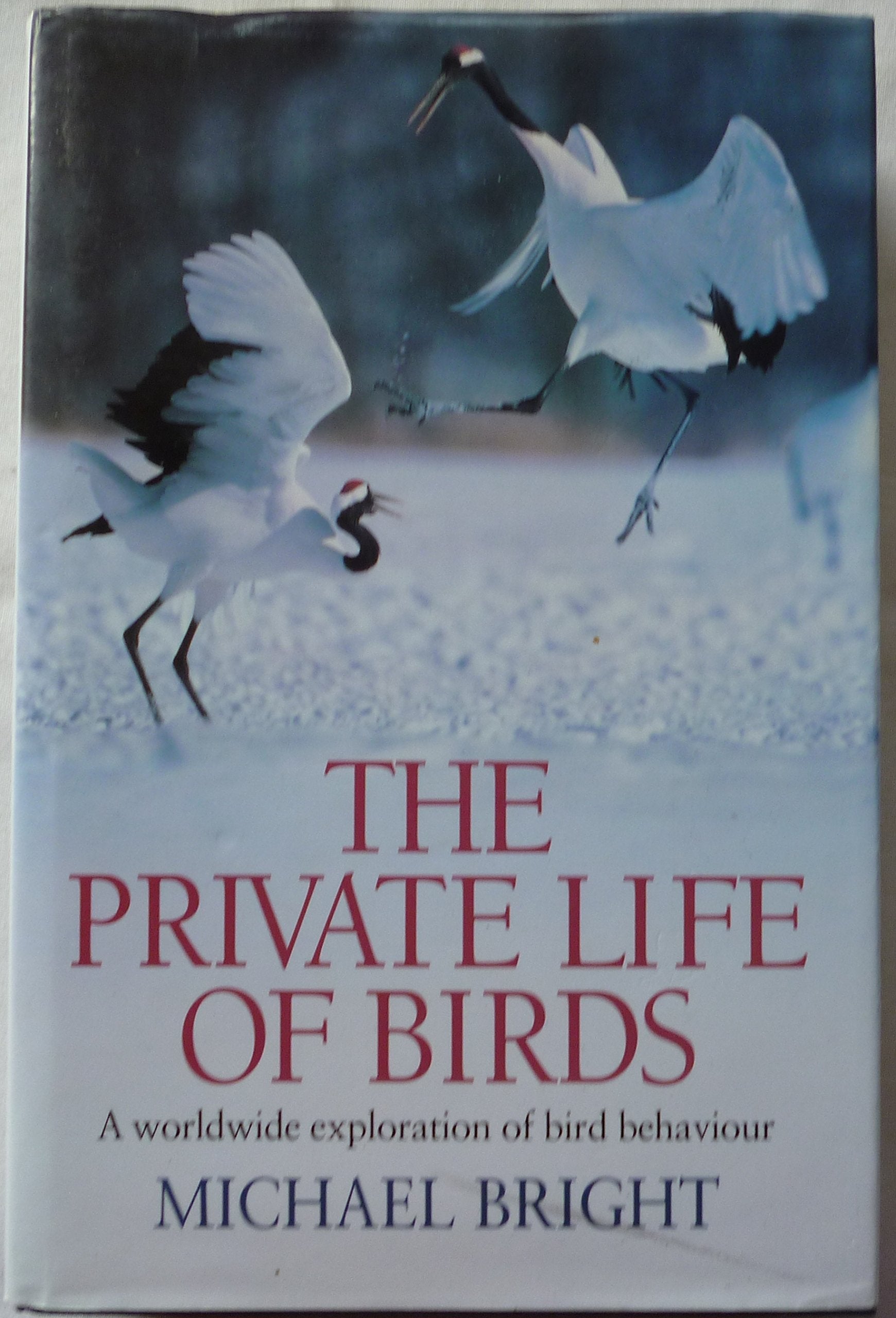 The Private Lives of Birds: A Worldwide Exploration of Bird Behaviour Mathematics