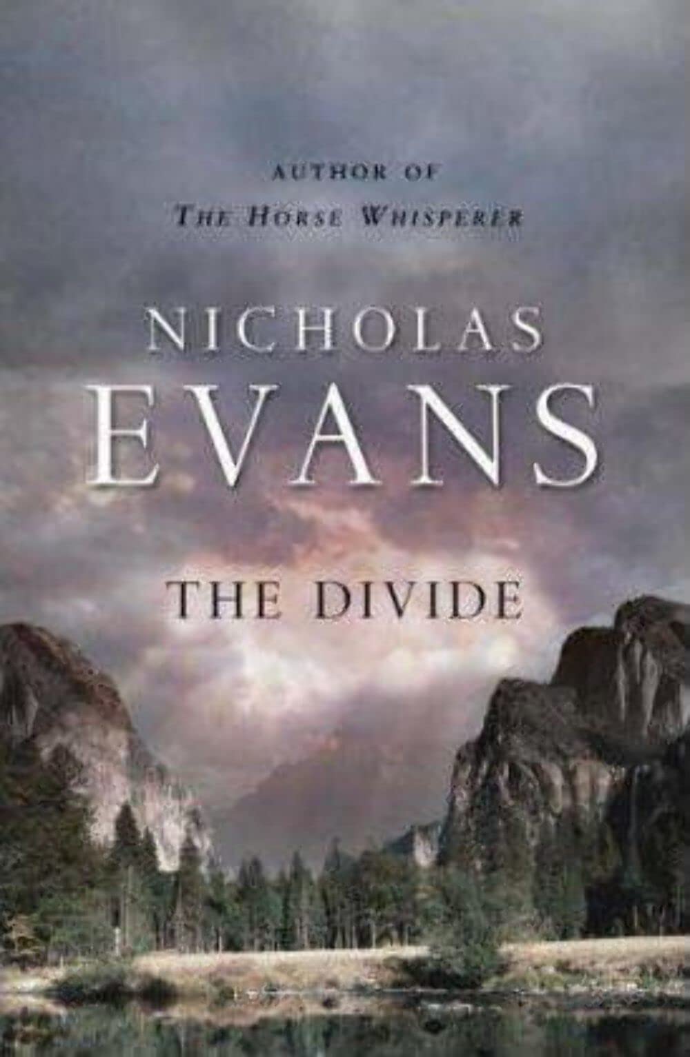 The Divide Contemporary literature
