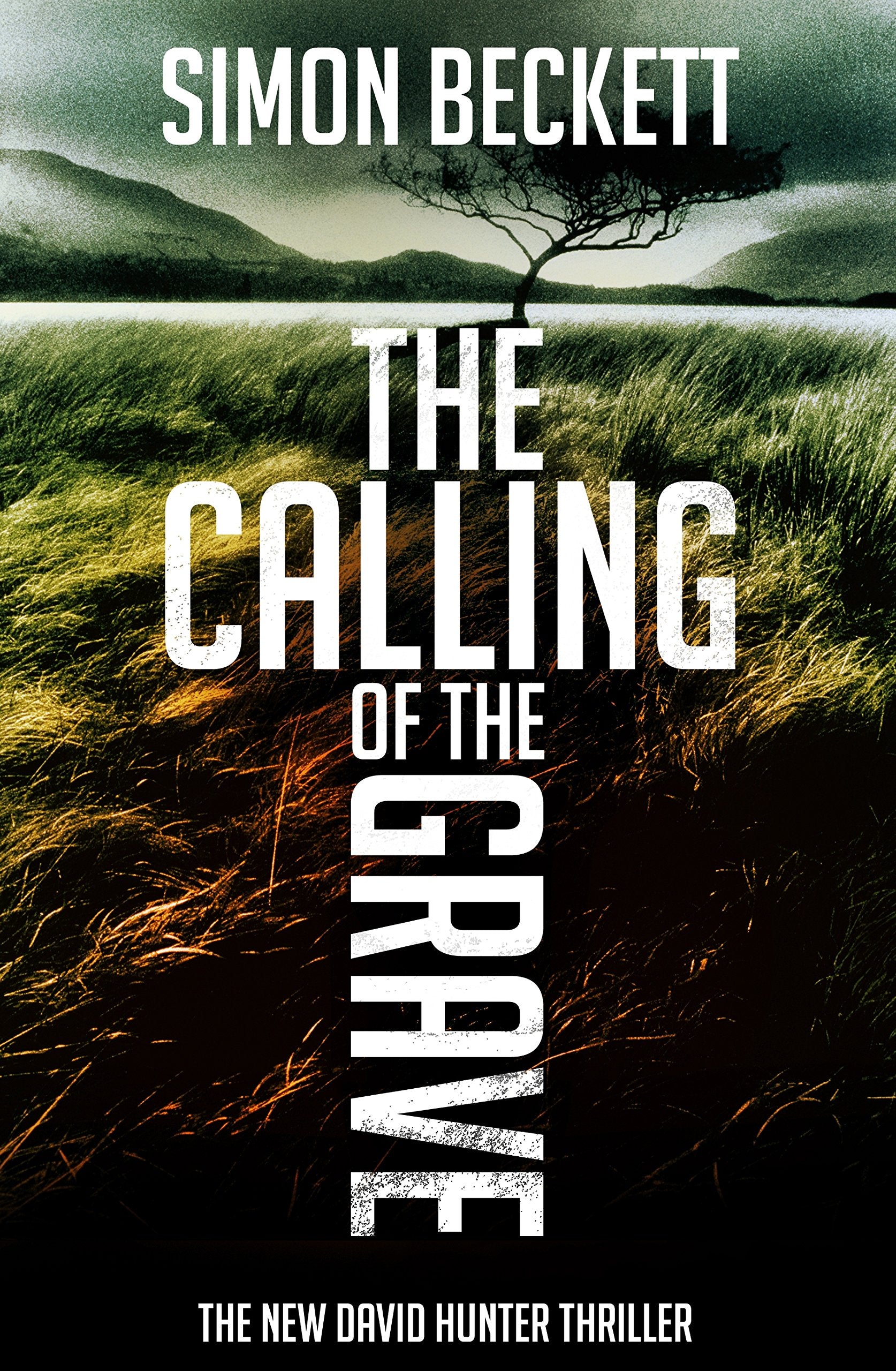 The Calling of the Grave: Nothing stays hidden forever ... Action & Adventure