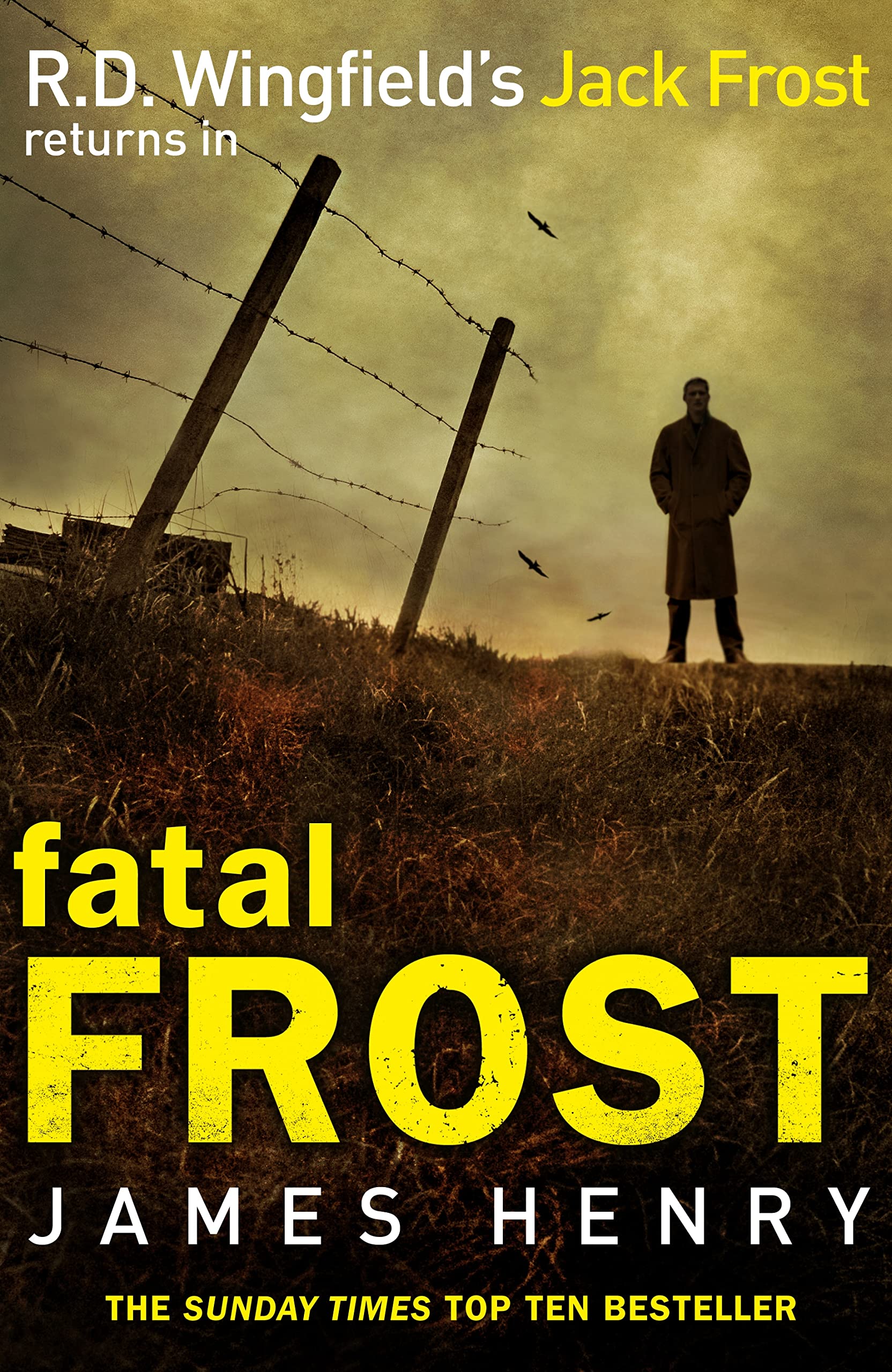 Fatal Frost: DI Jack Frost series 2 Contemporary literature