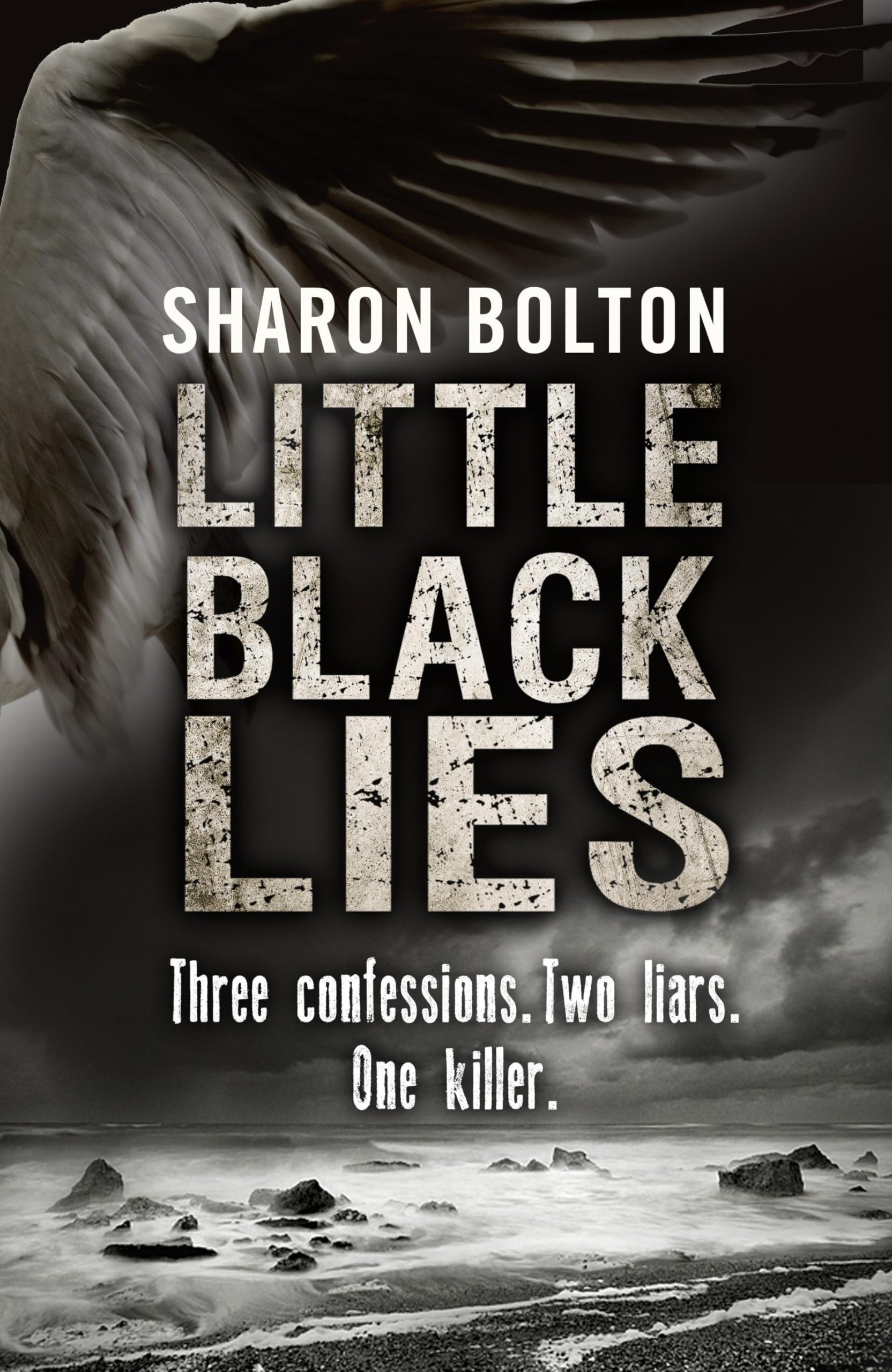 Little Black Lies: Three Confessions. Two Liars. One Killer. Action & Adventure