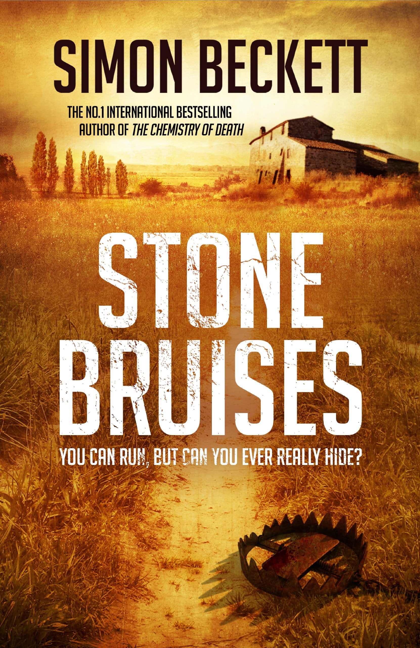 Stone Bruises Action & Adventure