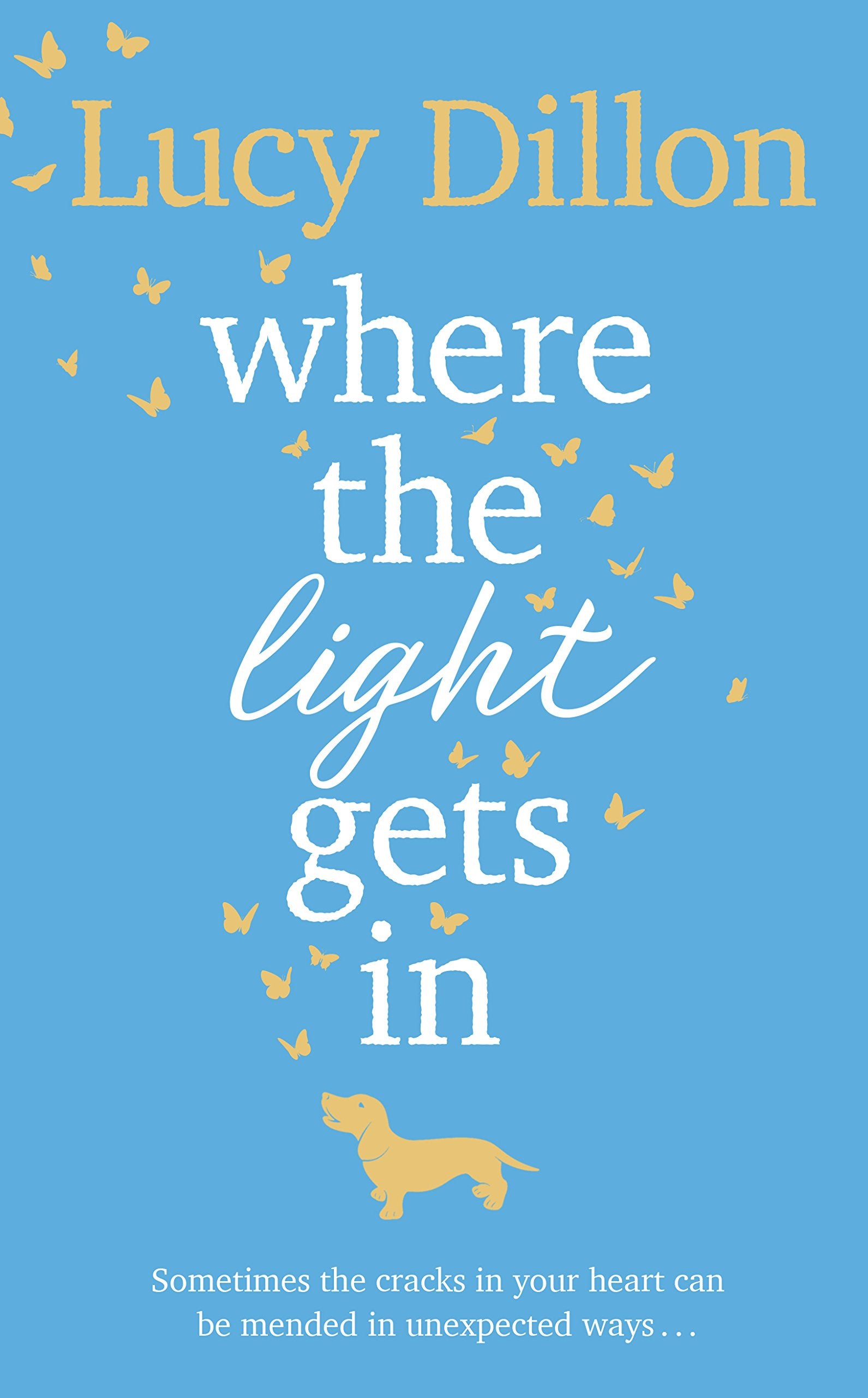 Where The Light Gets In: The Sunday Times bestseller book