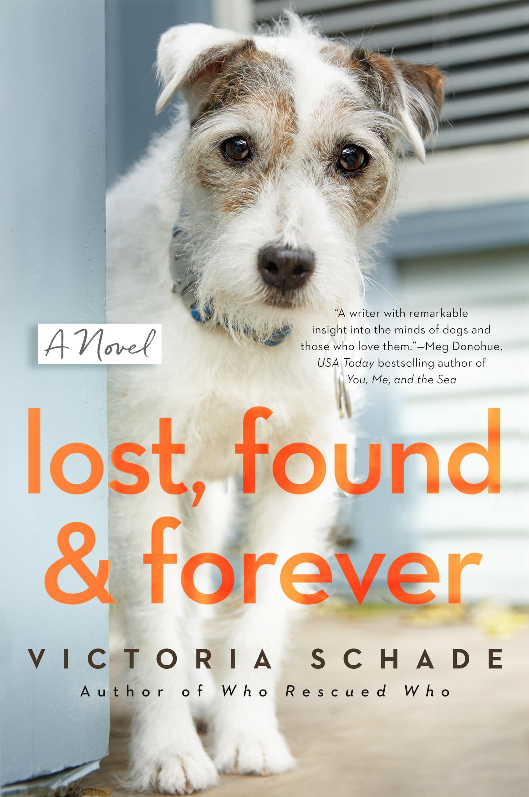 Lost, Found, and Forever: A Novel Contemporary literature
