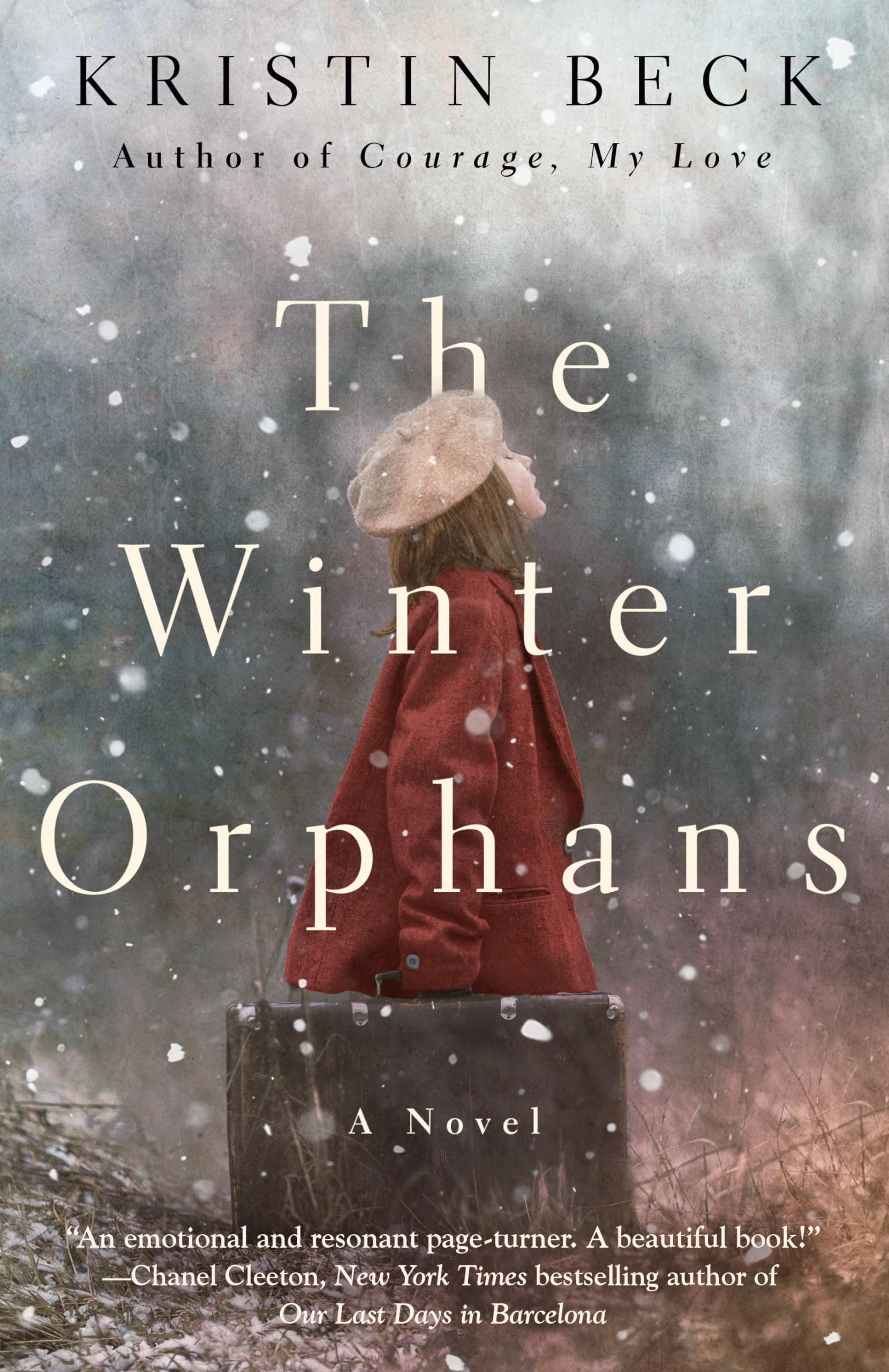 Product Image: The Winter Orphans