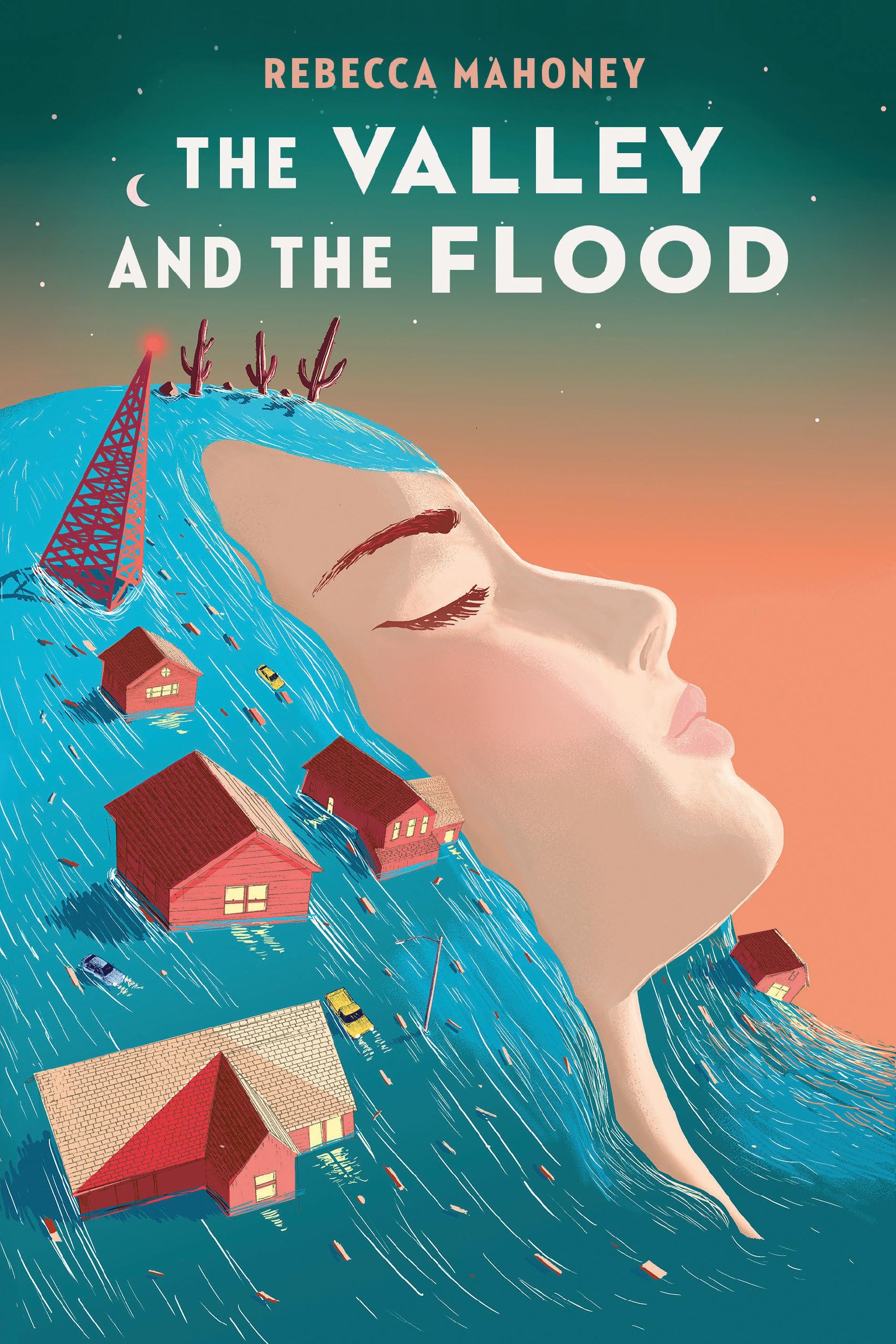 The Valley and the Flood book
