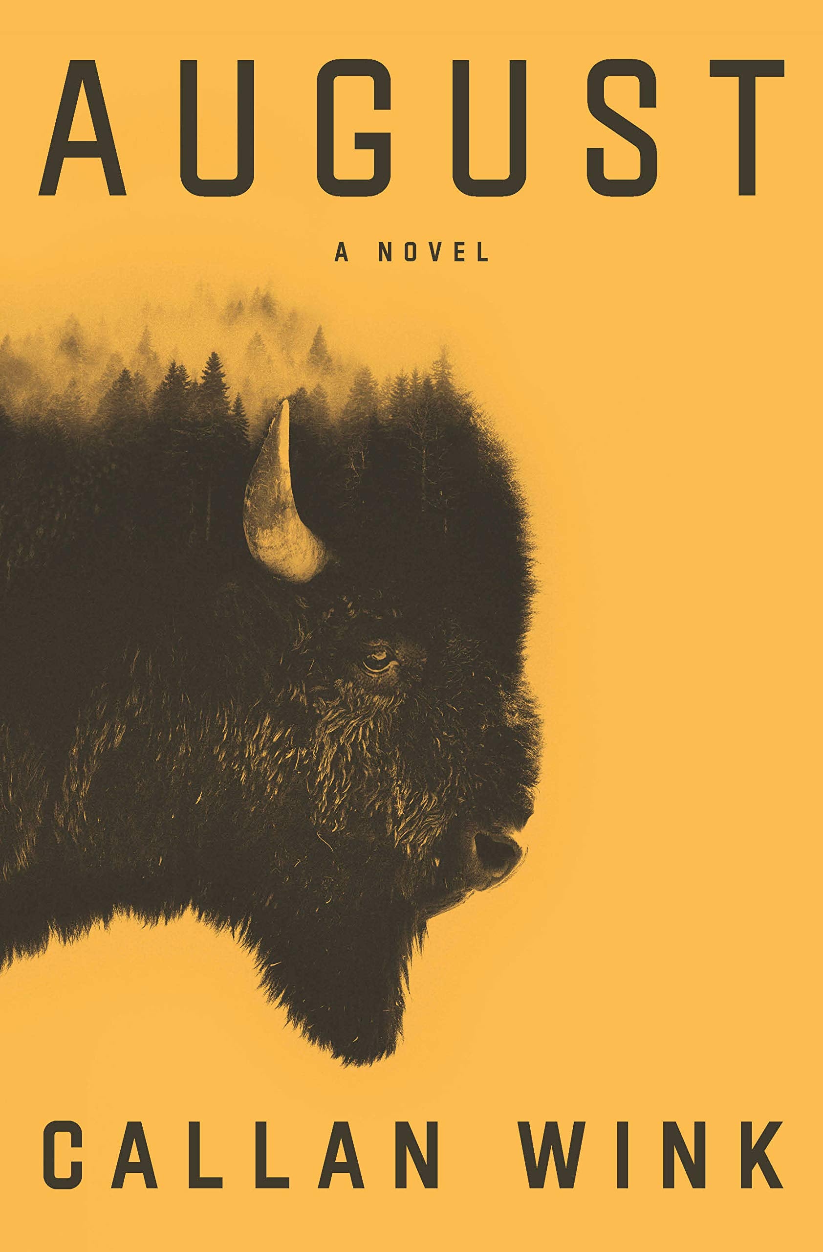 August: A Novel Contemporary literature Books
