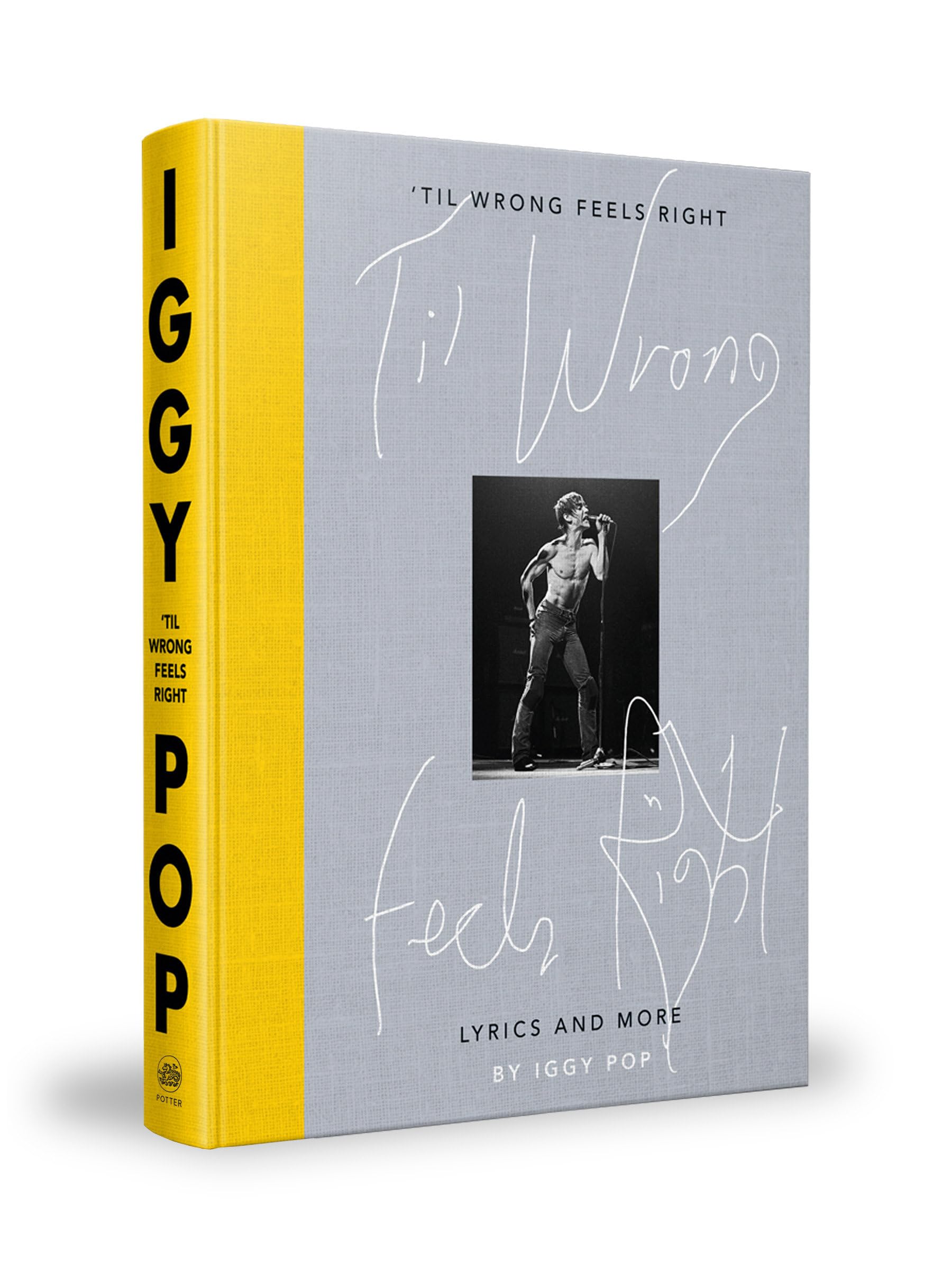 'Til Wrong Feels Right: Lyrics and Photographs: Lyrics and More Pop culture