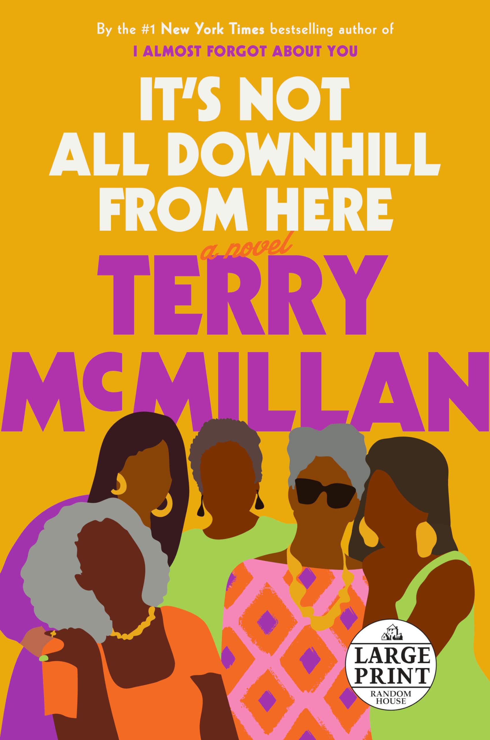 It's Not All Downhill From Here: A Novel (Random House Large Print) Contemporary literature