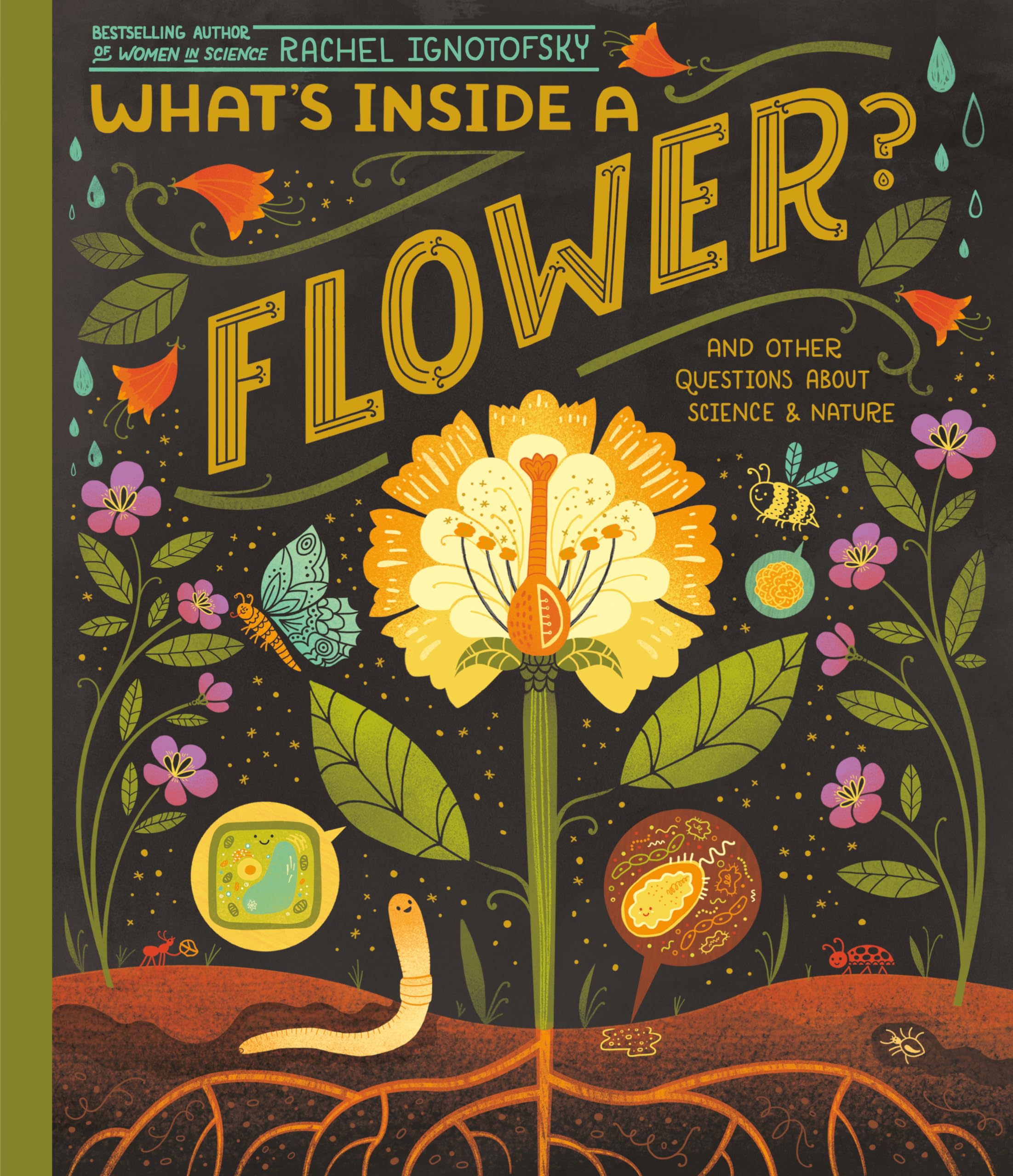 What's Inside A Flower?: And Other Questions About Science & Nature Leisure, Home & Garden
