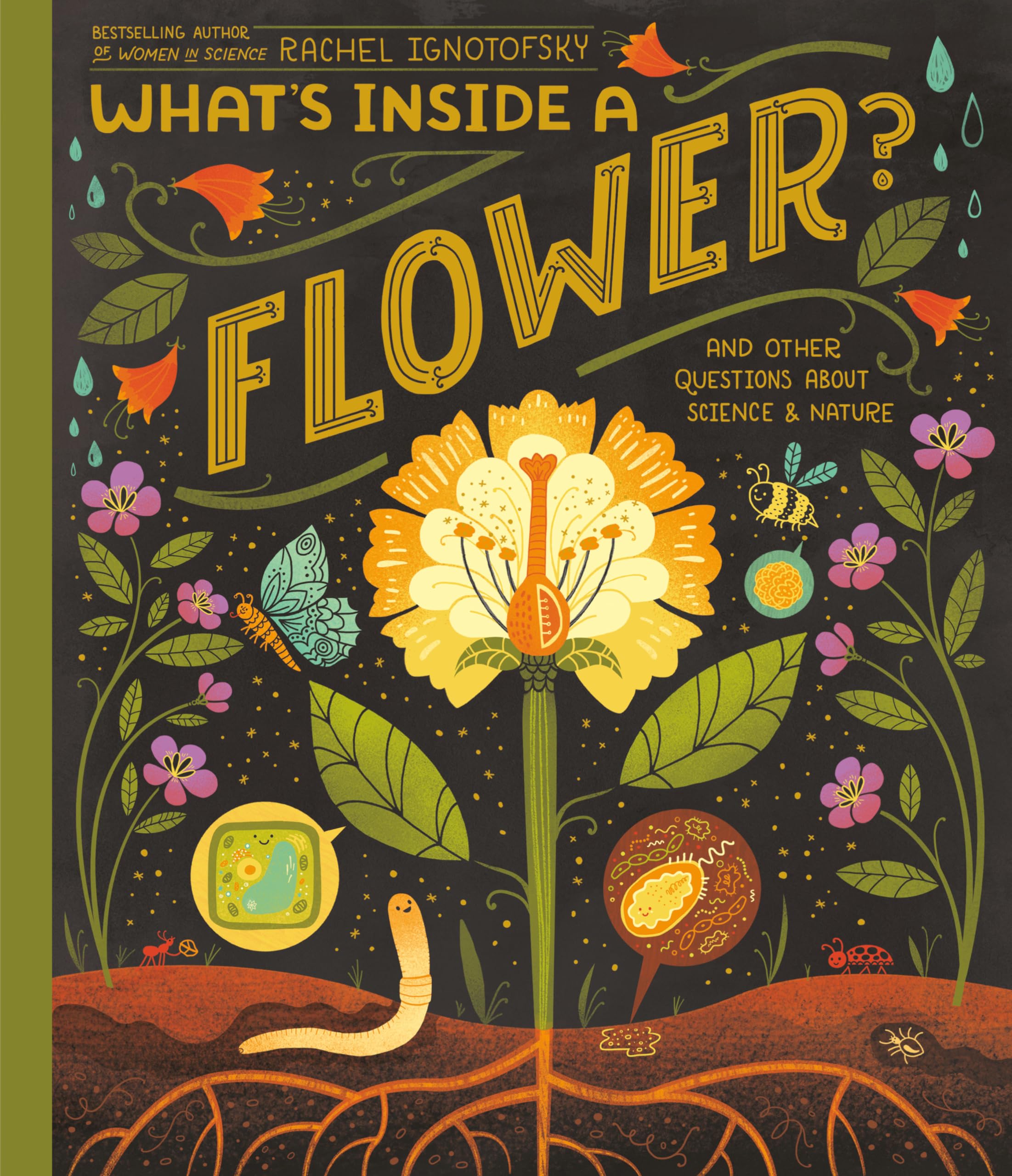 What's Inside A Flower?: And Other Questions About Science & Nature book
