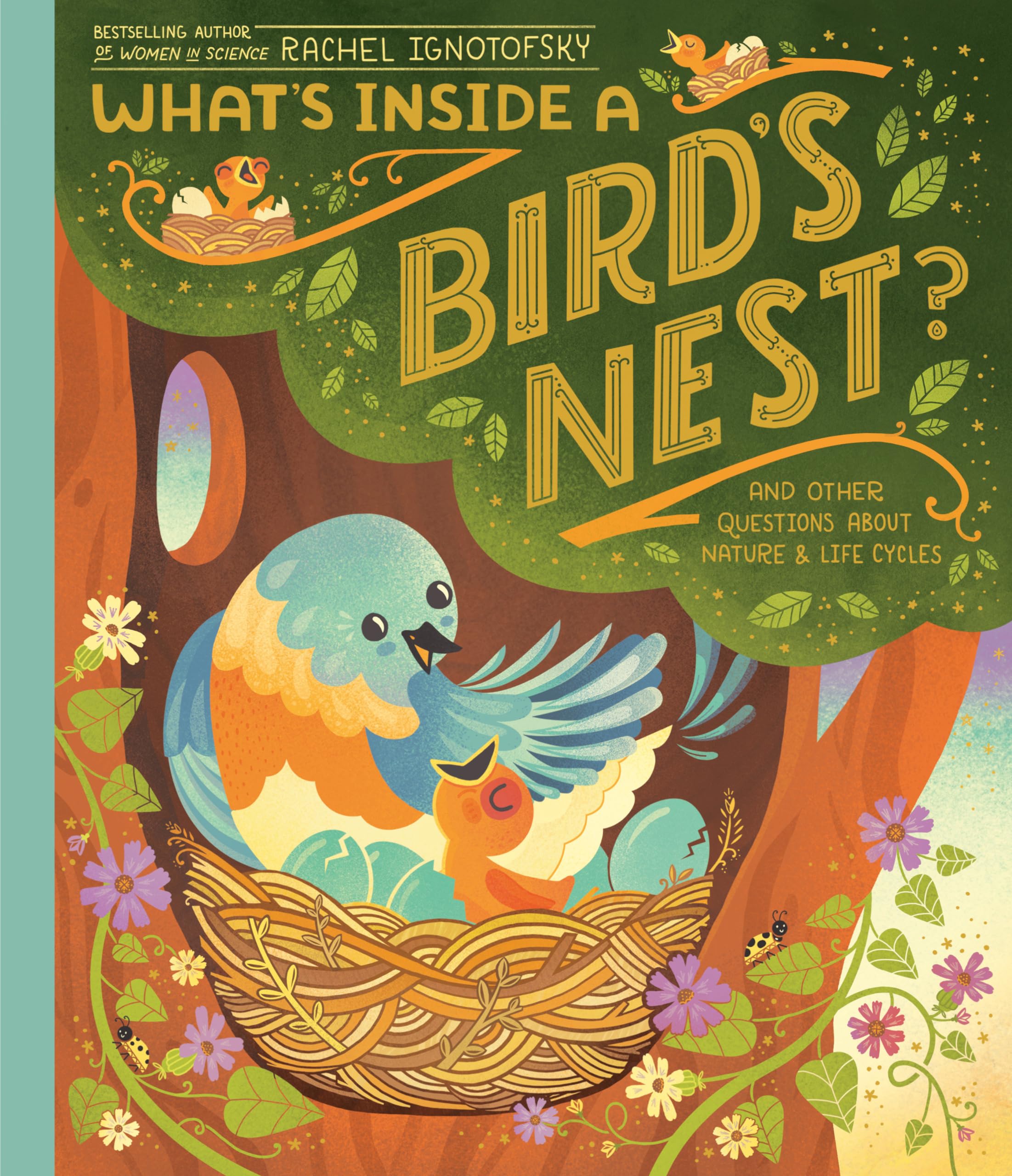 What's Inside A Bird's Nest?: And Other Questions About Nature & Life Cycles Non-fiction