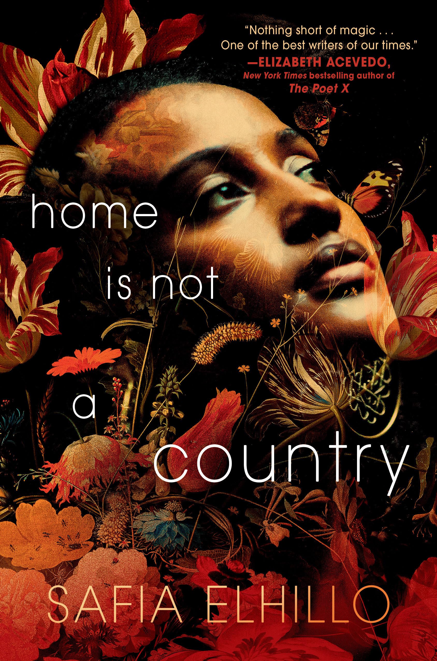 Home Is Not a Country Fiction