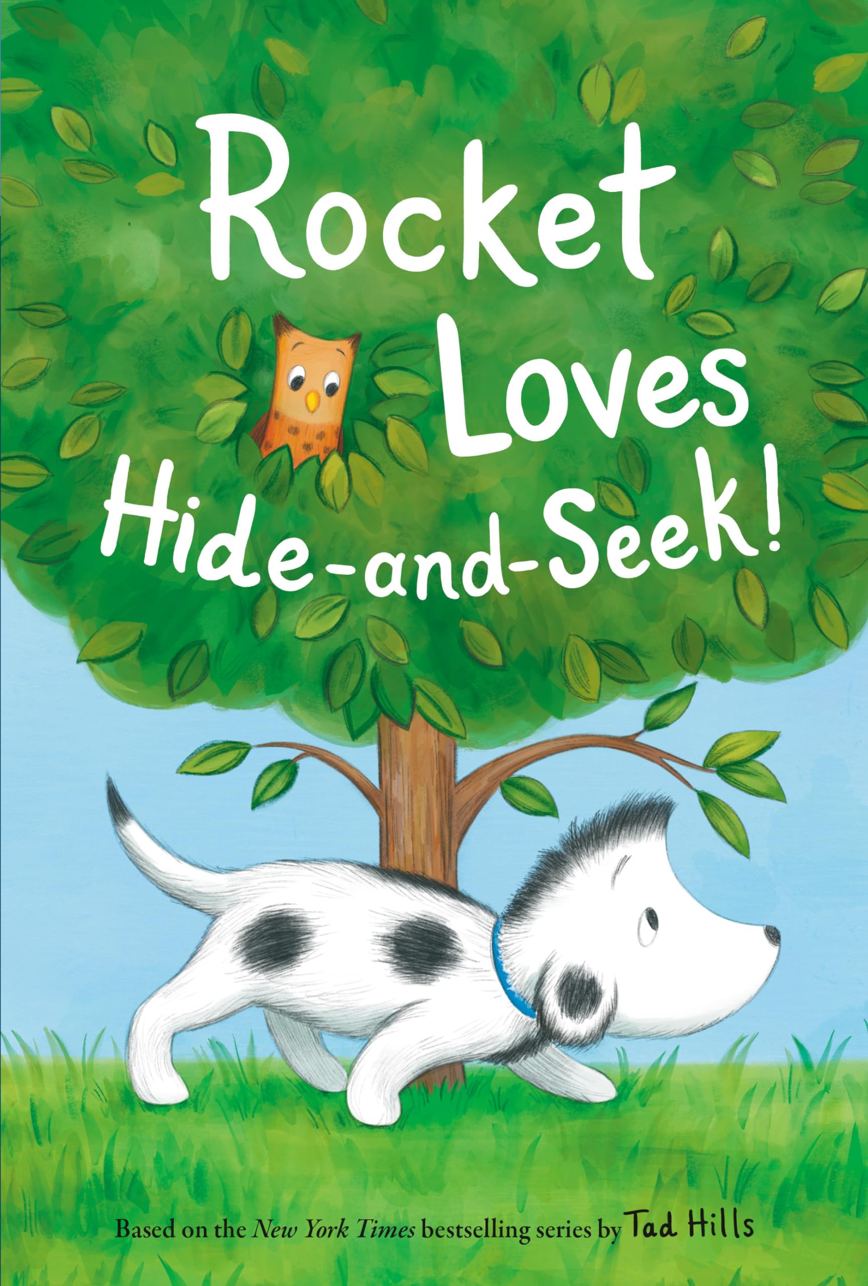 Product Image: Rocket Loves Hide-and-Seek!