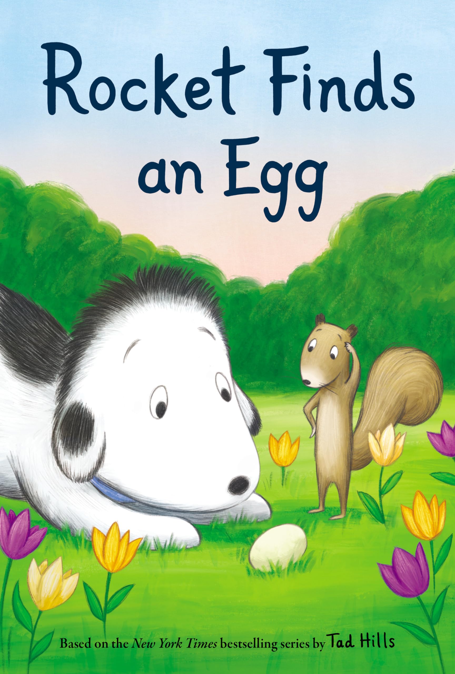 Product Image: Rocket Finds an Egg