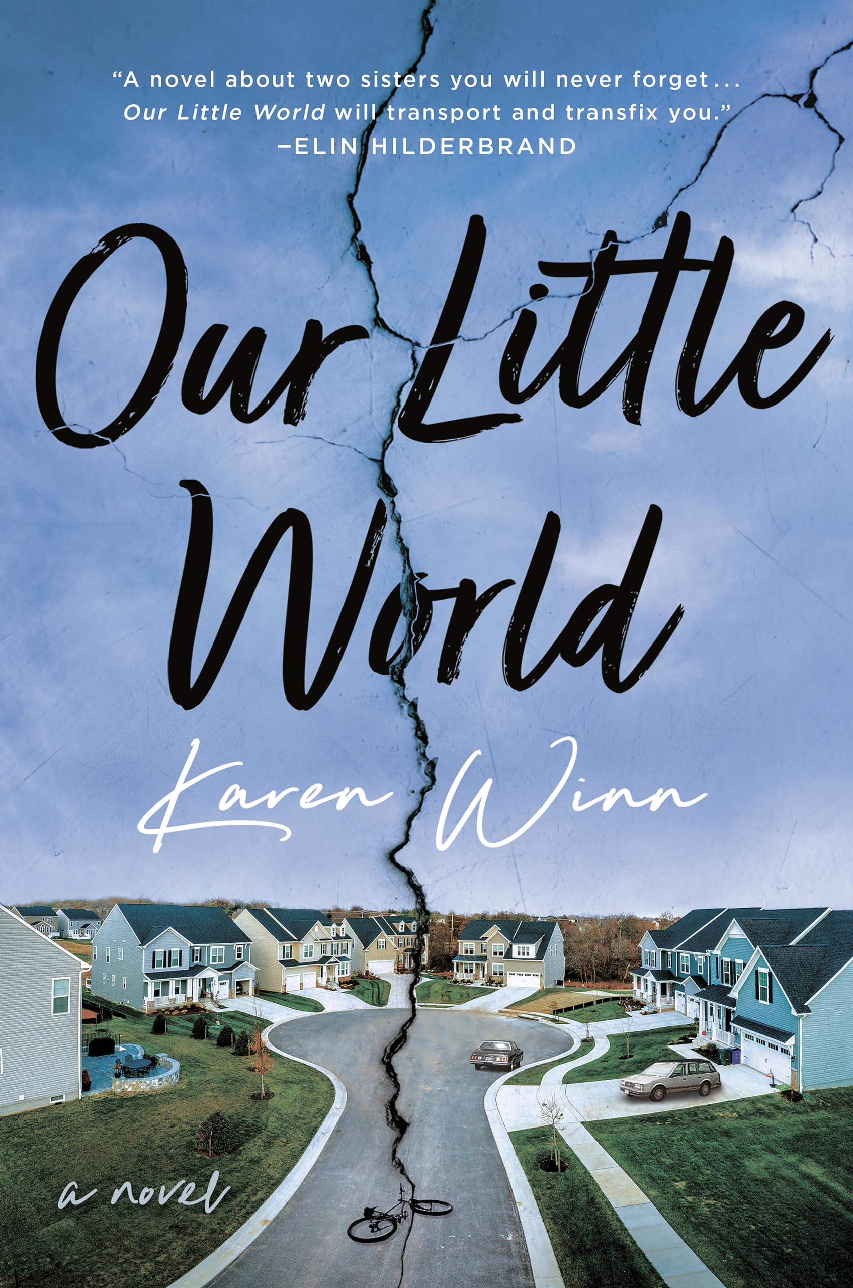 Our Little World: A Novel Contemporary literature