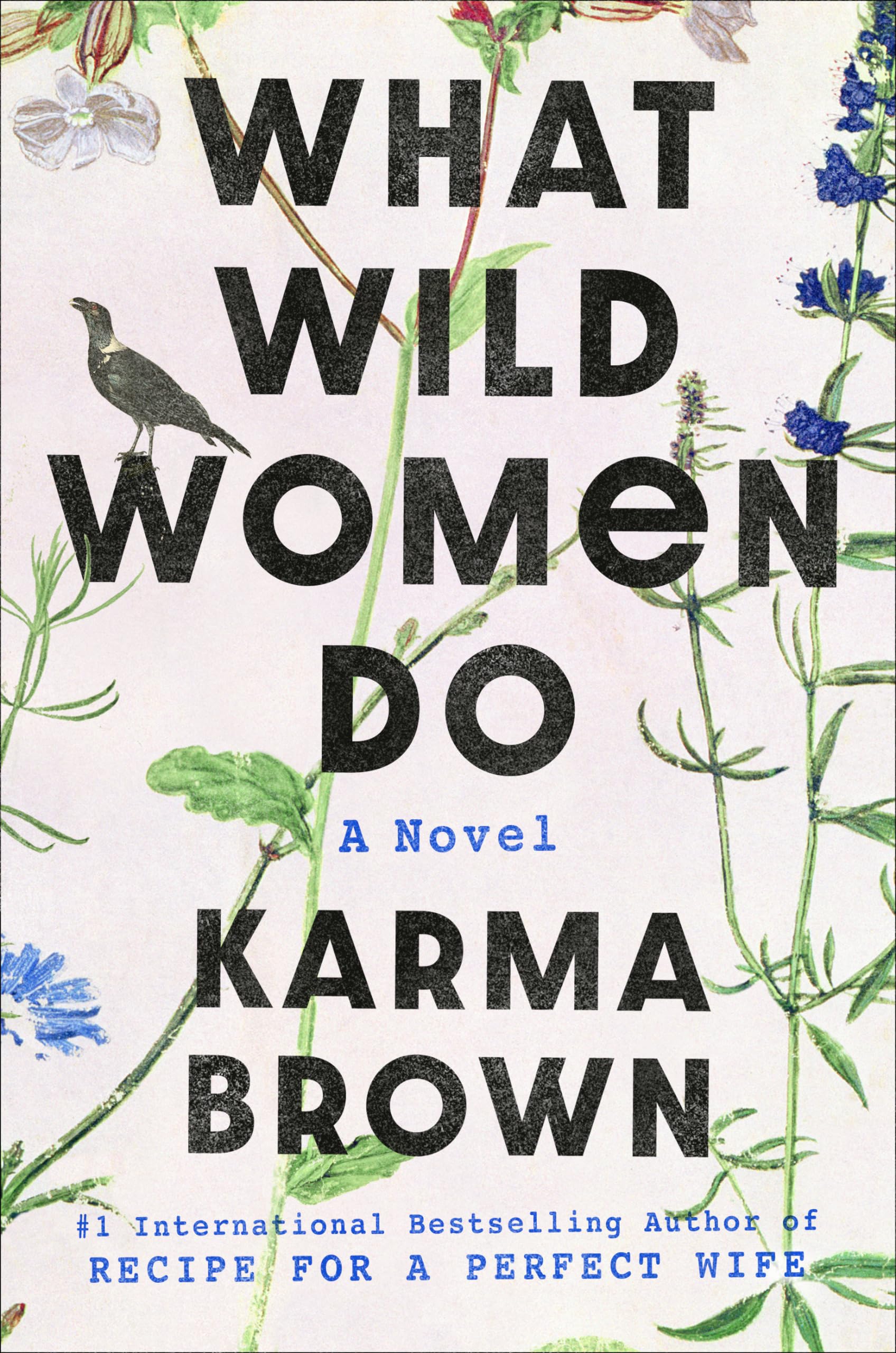 What Wild Women Do: A Novel Contemporary literature