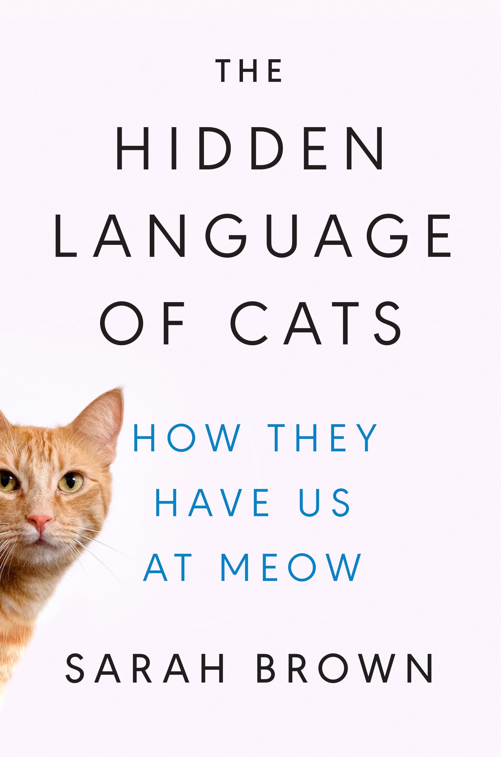 The Hidden Language of Cats: How They Have Us at Meow Pets