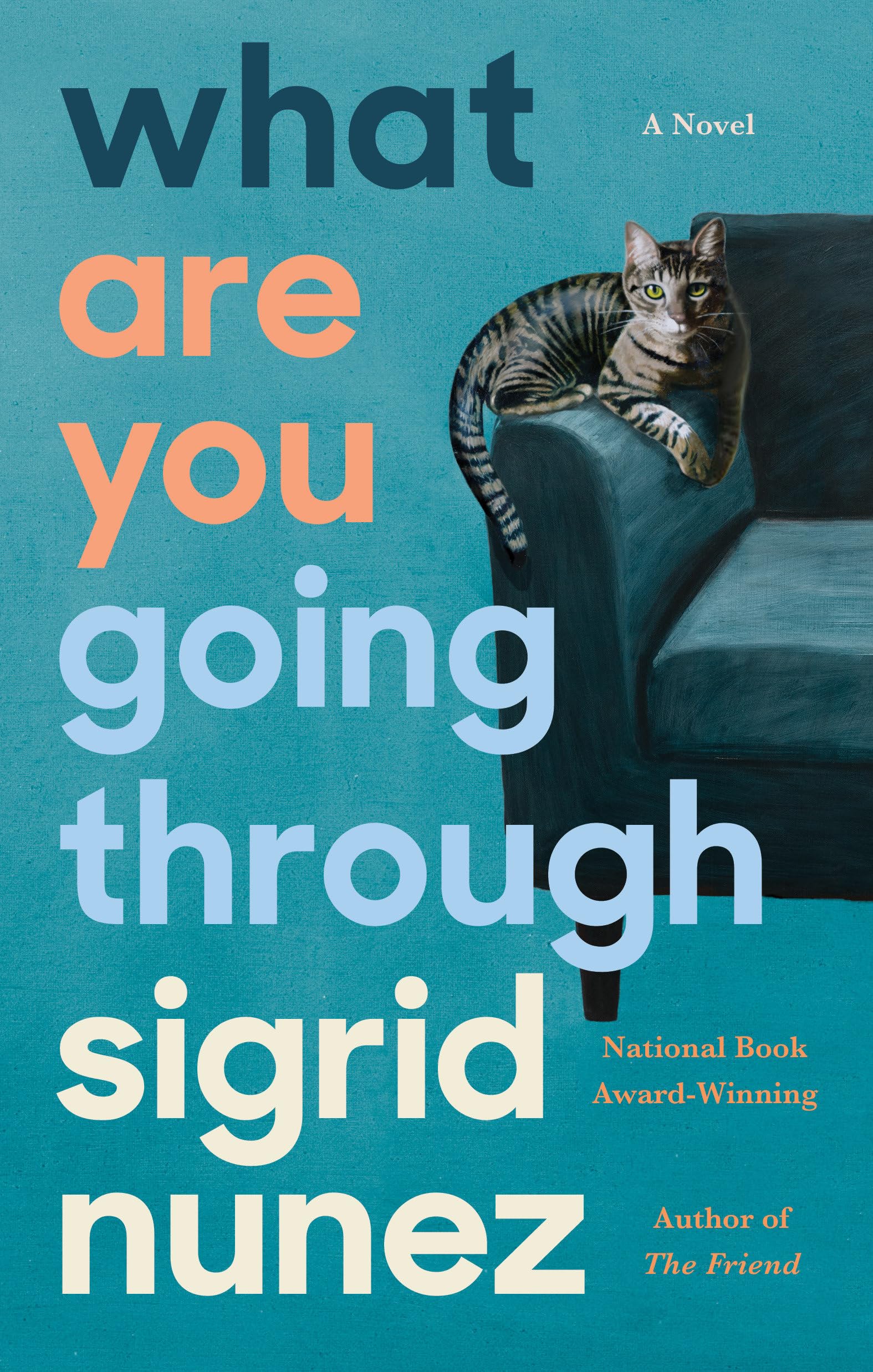 Product Image: What Are You Going Through: A Novel