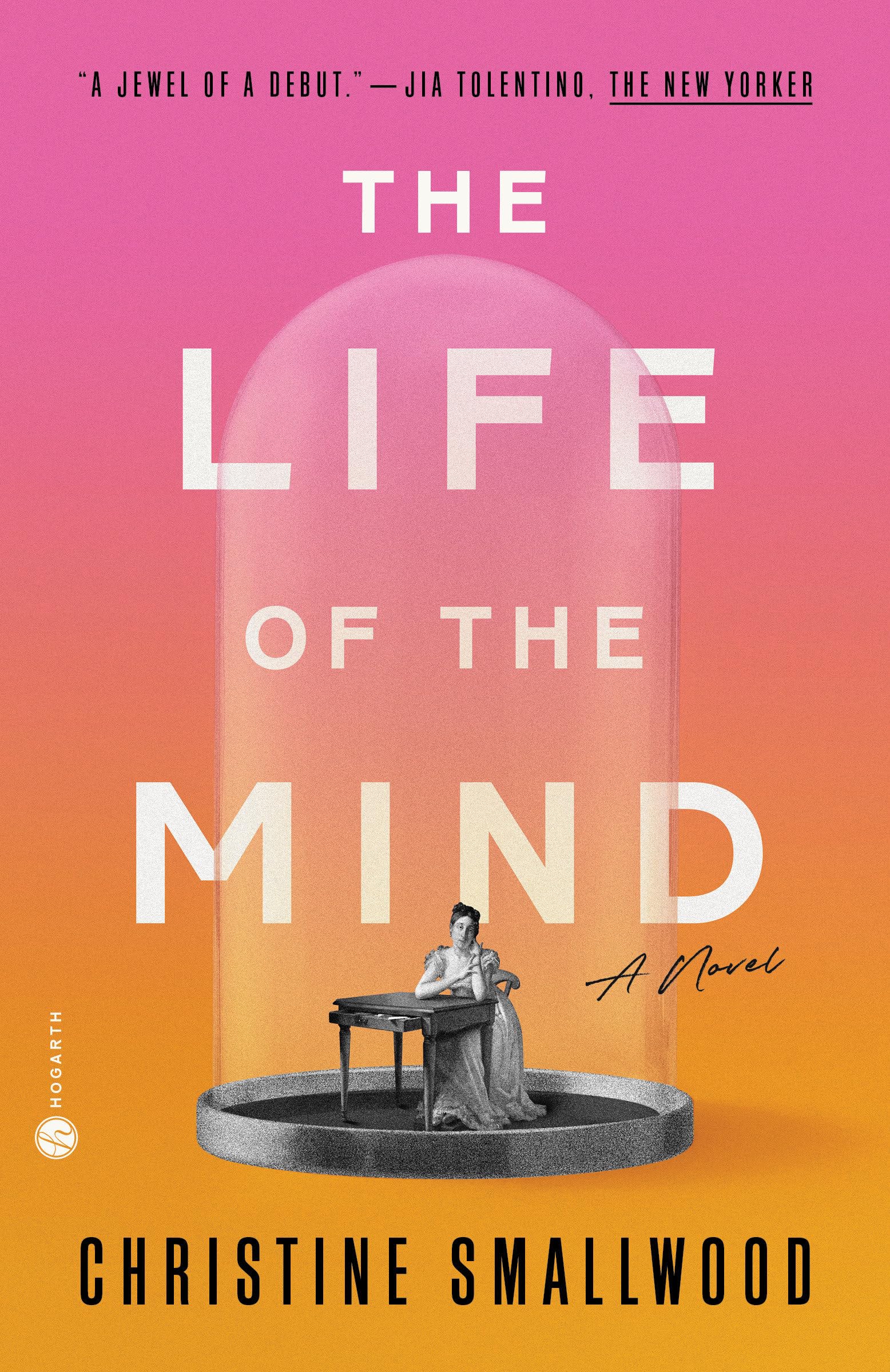The Life of the Mind: A Novel Humour & Satire