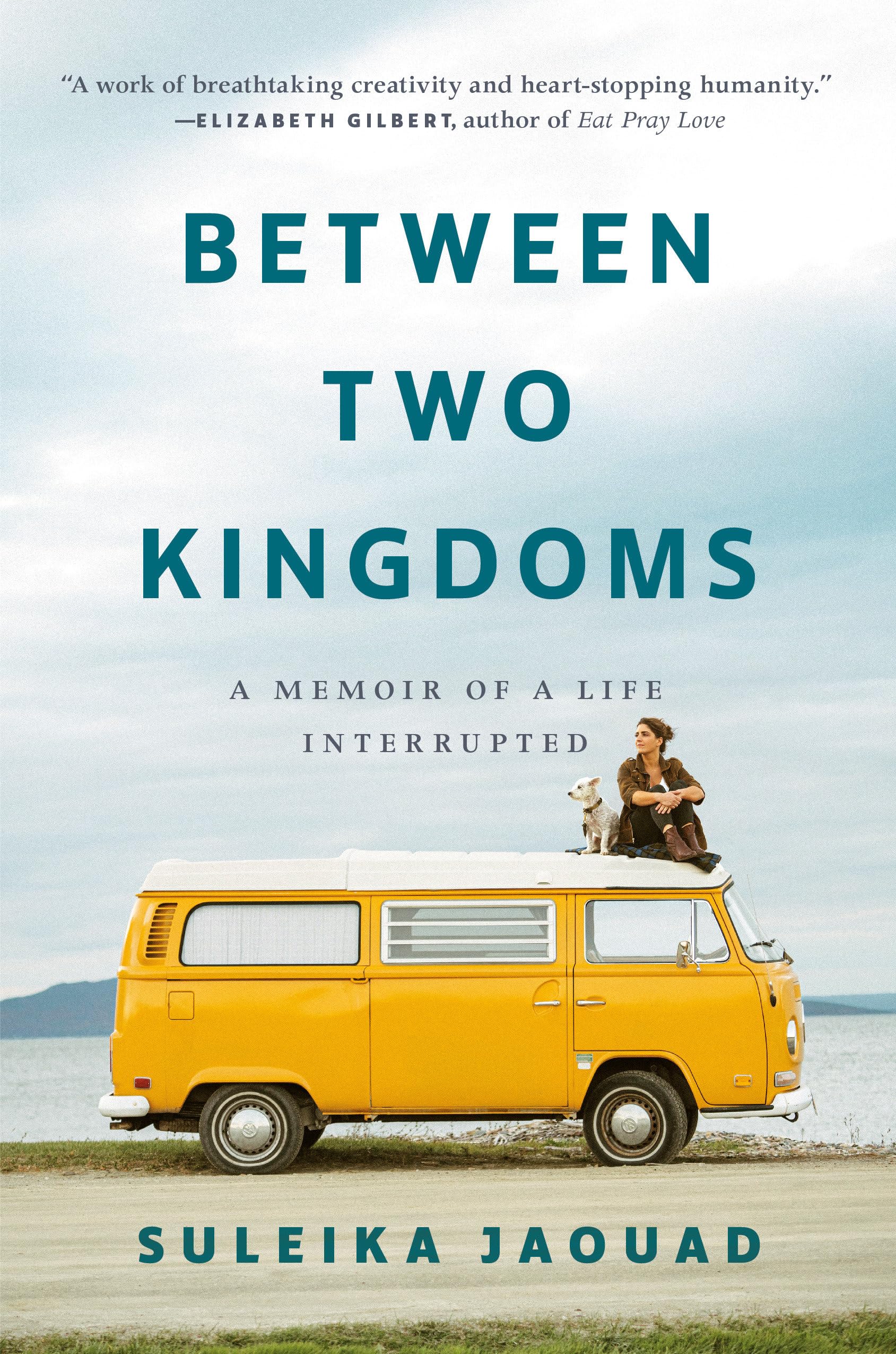 Between Two Kingdoms: A Memoir of a Life Interrupted Social Sciences