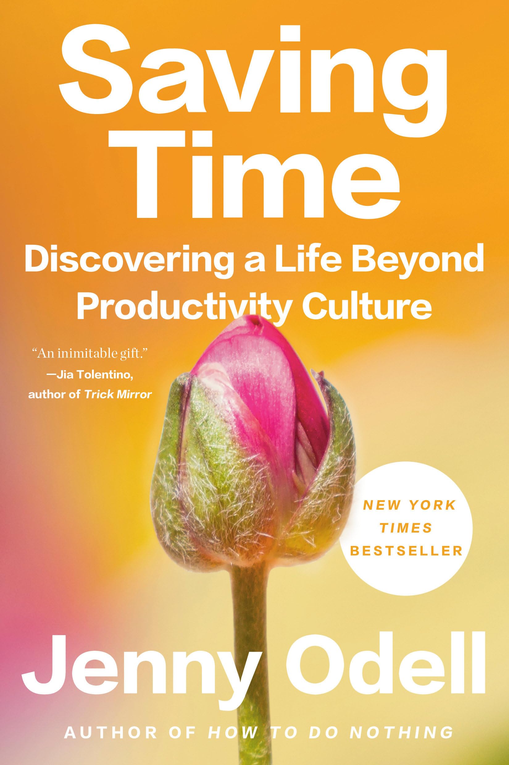 Saving Time: Discovering a Life Beyond Productivity Culture Books