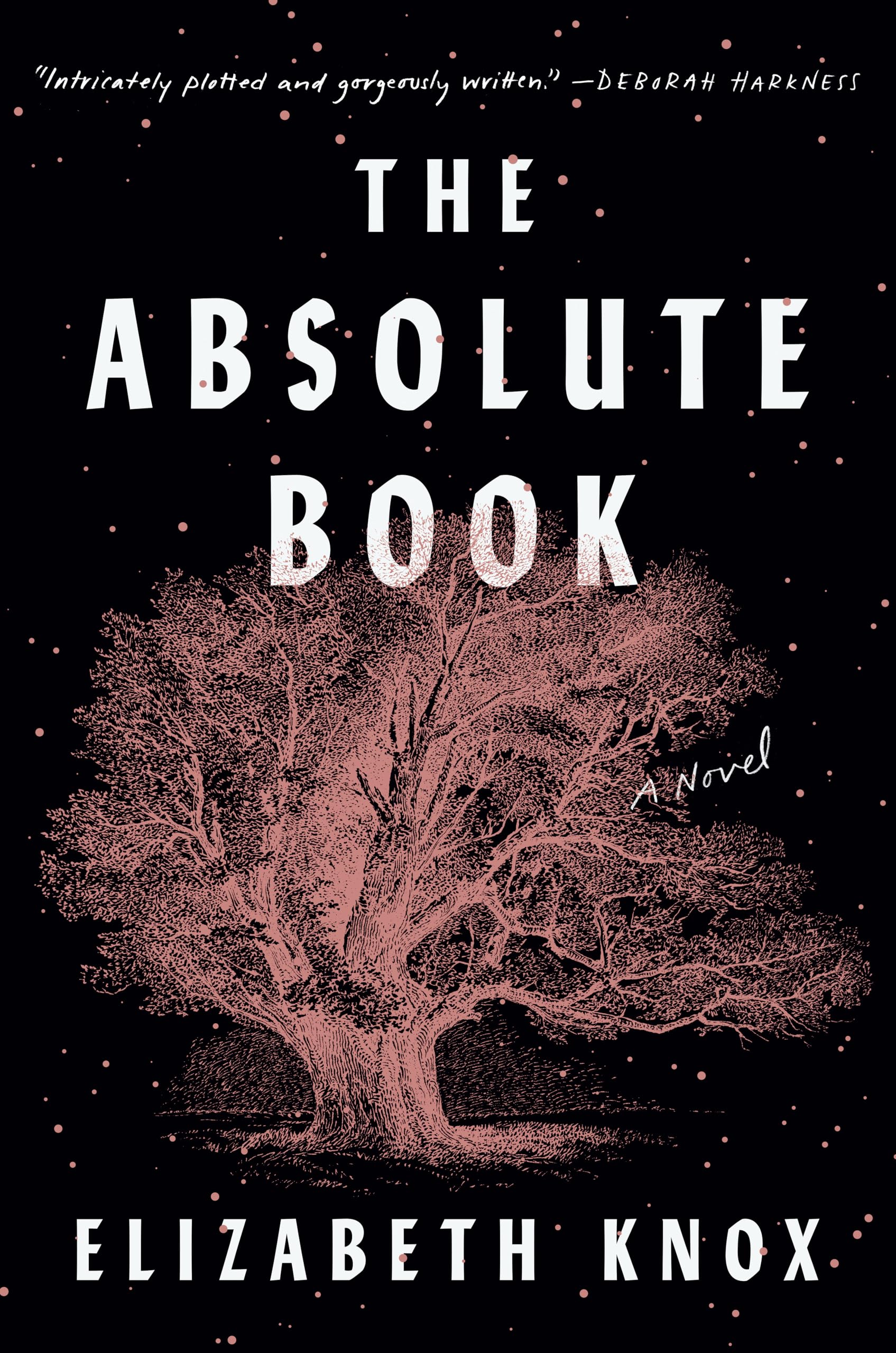 Product Image: The Absolute Book