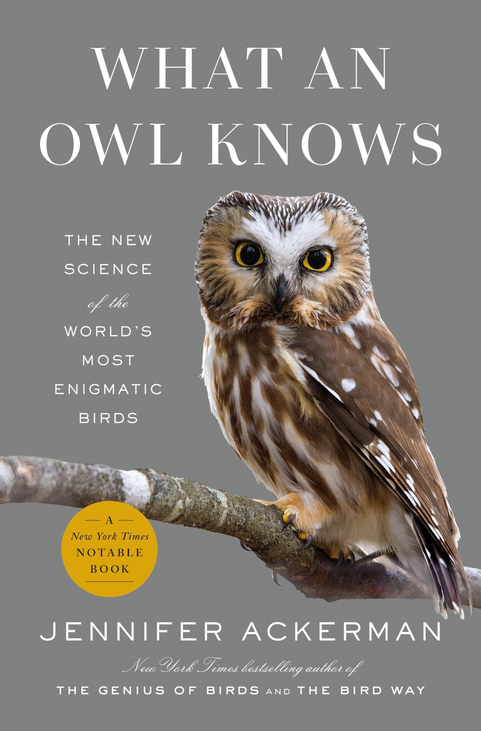 Product Image: What an Owl Knows