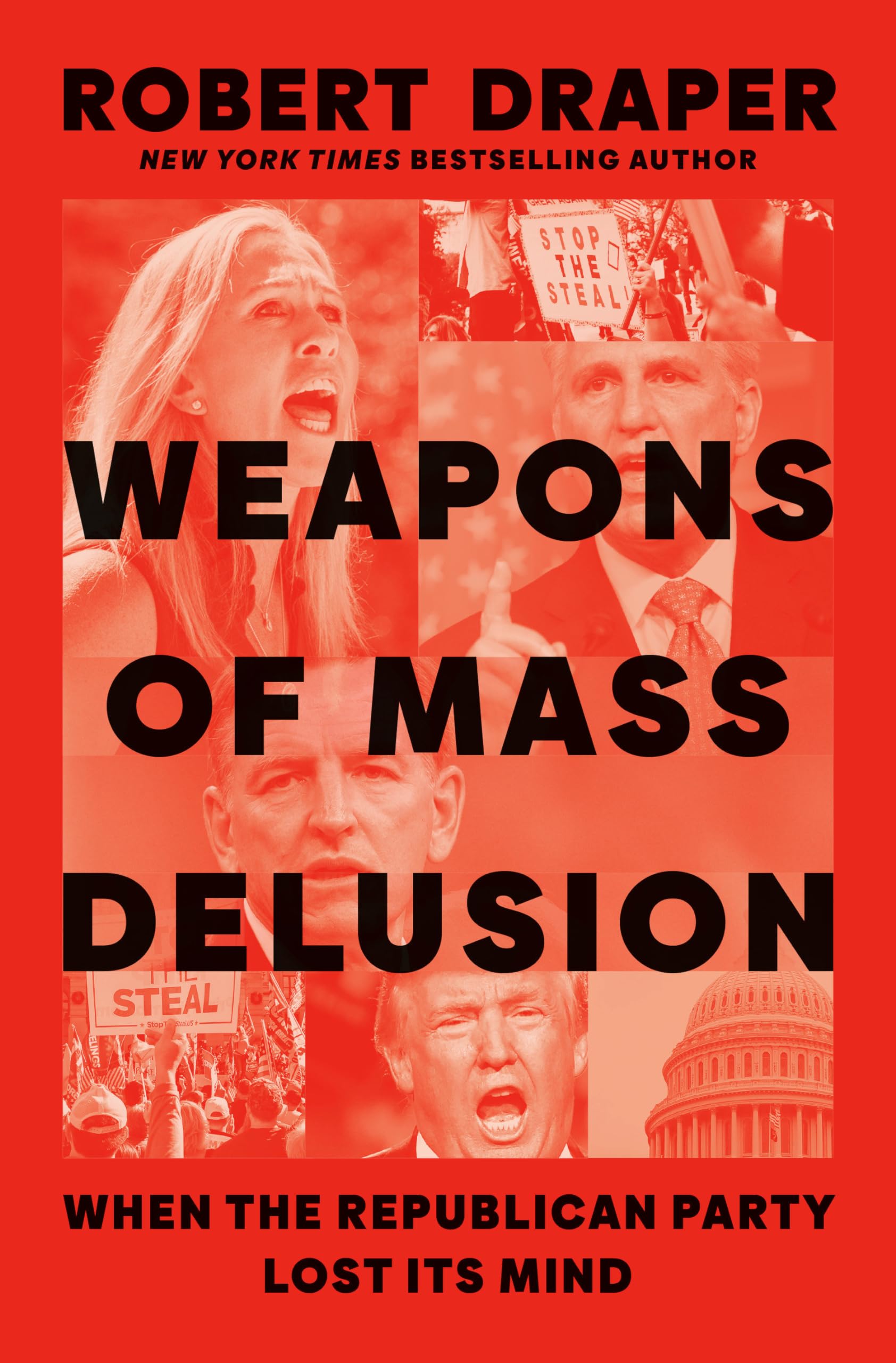 Weapons of Mass Delusion Law Books