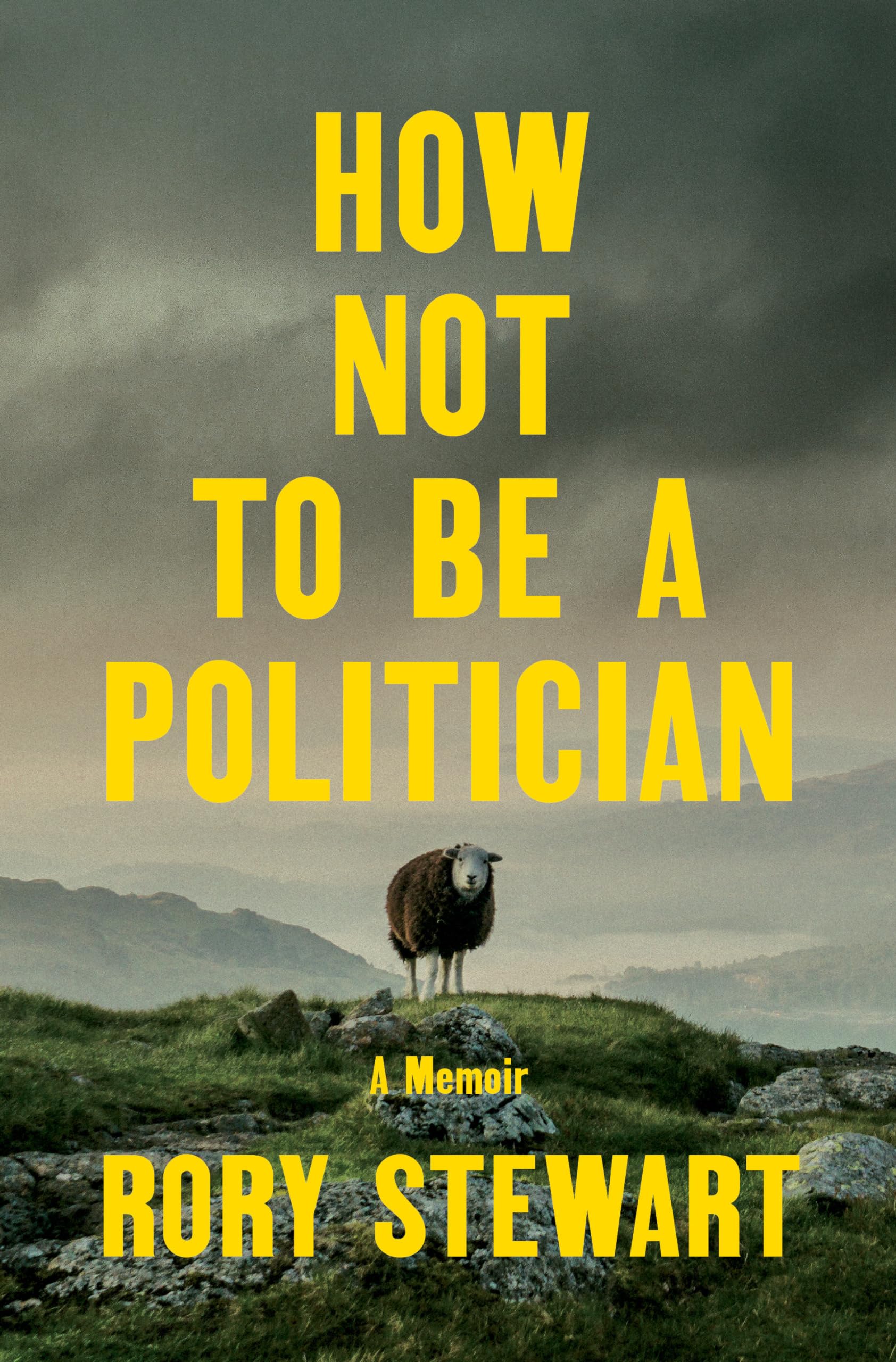 How Not to Be a Politician book