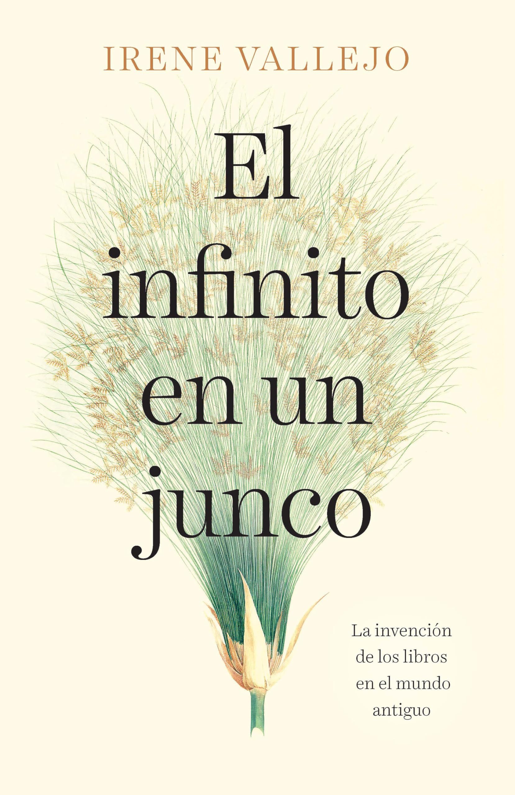 El infinito en un junco/ Infinity in a Reed: La invención de los libros en el mundo antiguo/ The Invention of Books in the Ancient World book