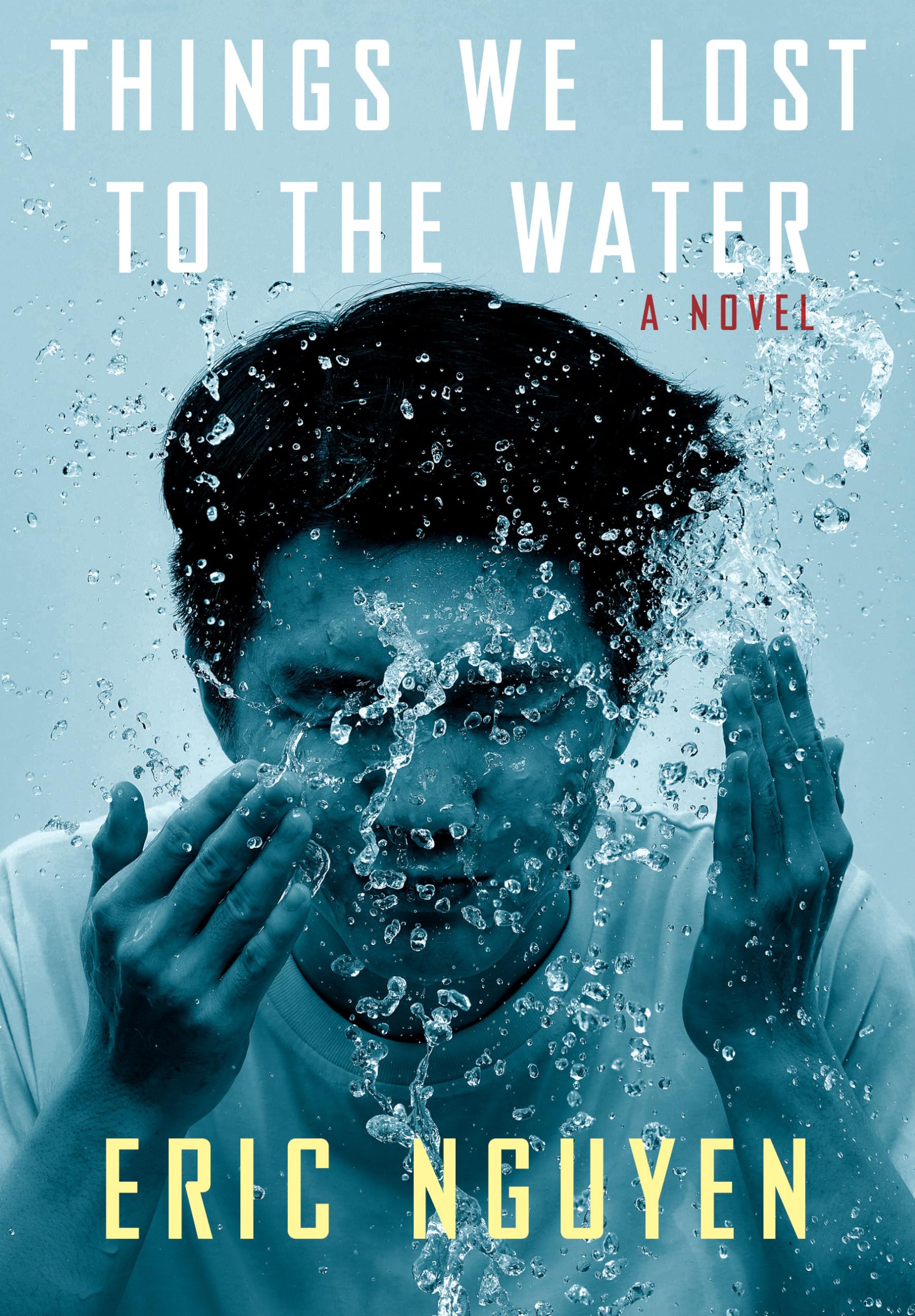 Things We Lost to the Water: A novel book