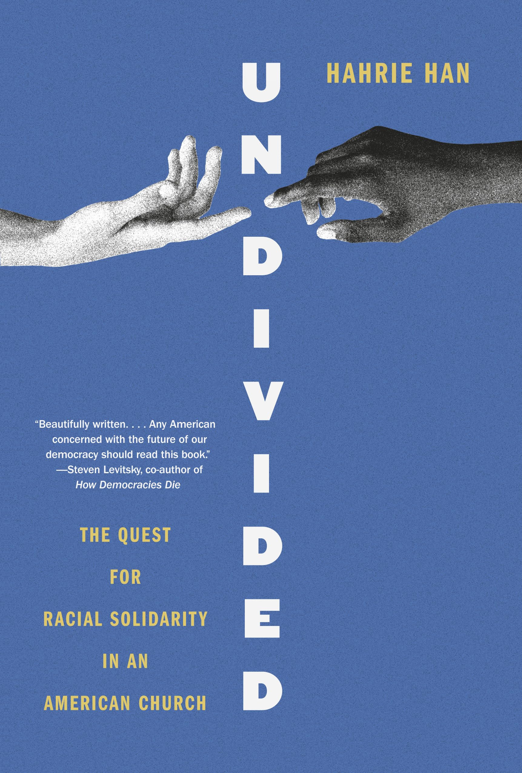 Undivided: The Quest for Racial Solidarity in an American Church Religion & Esotericism