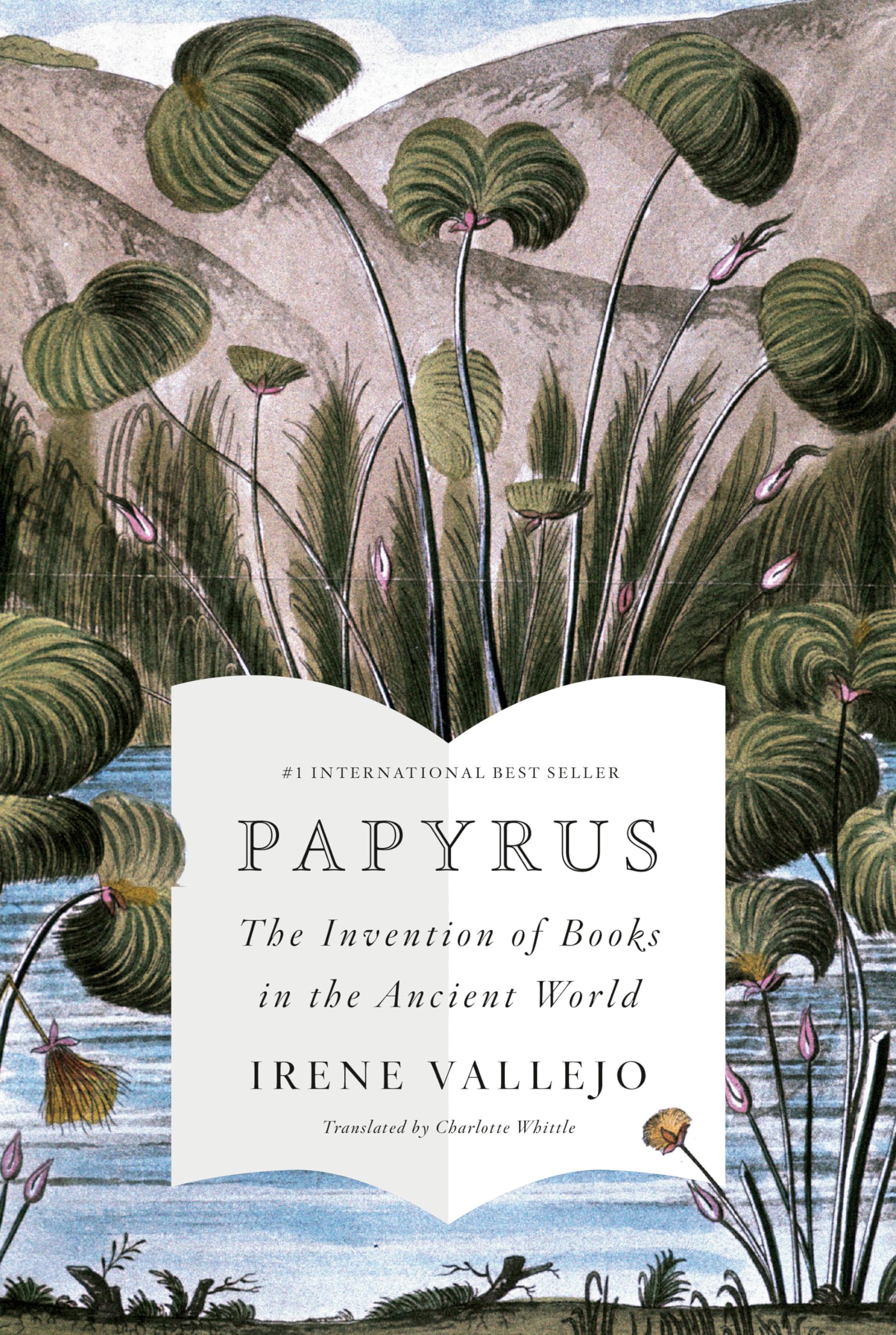 Papyrus: The Invention of Books in the Ancient World Contemporary literature