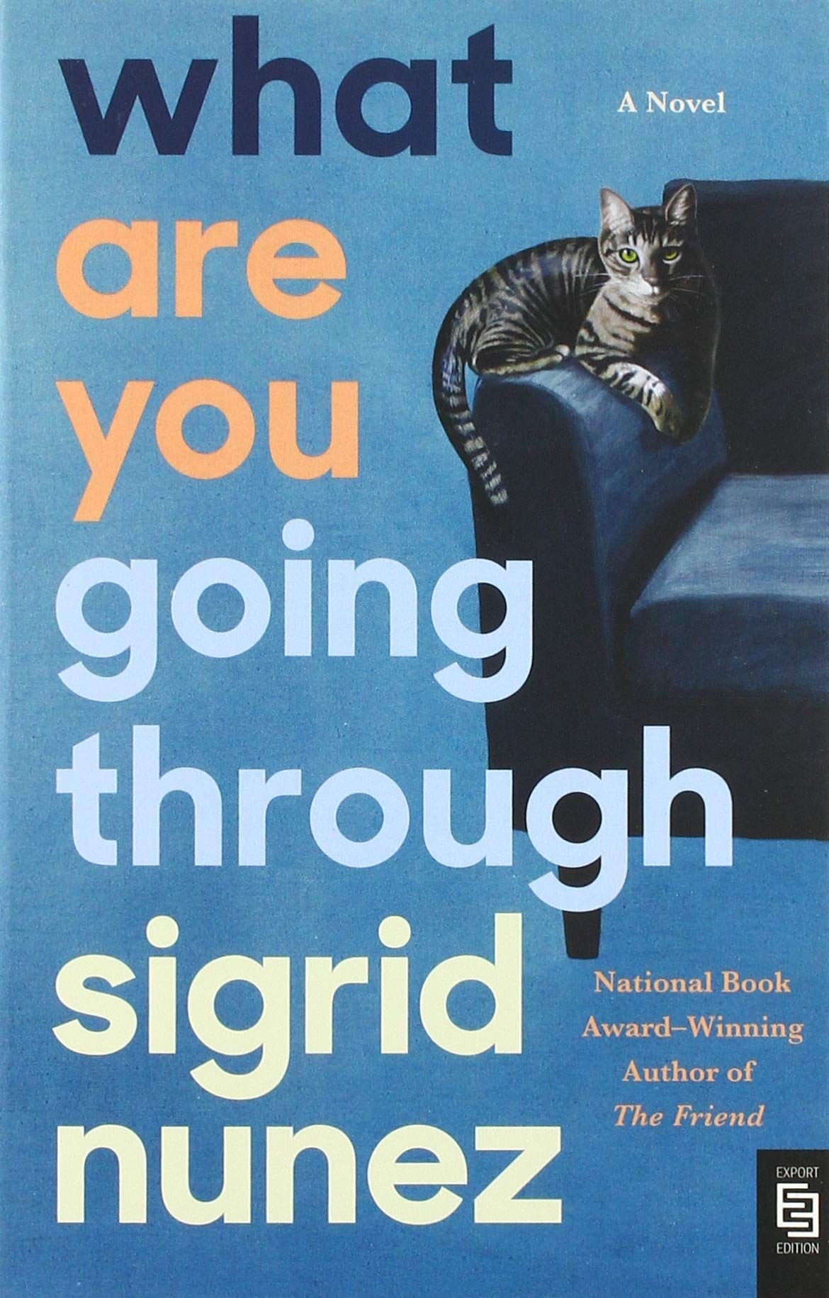 What Are You Going Through Contemporary literature Books