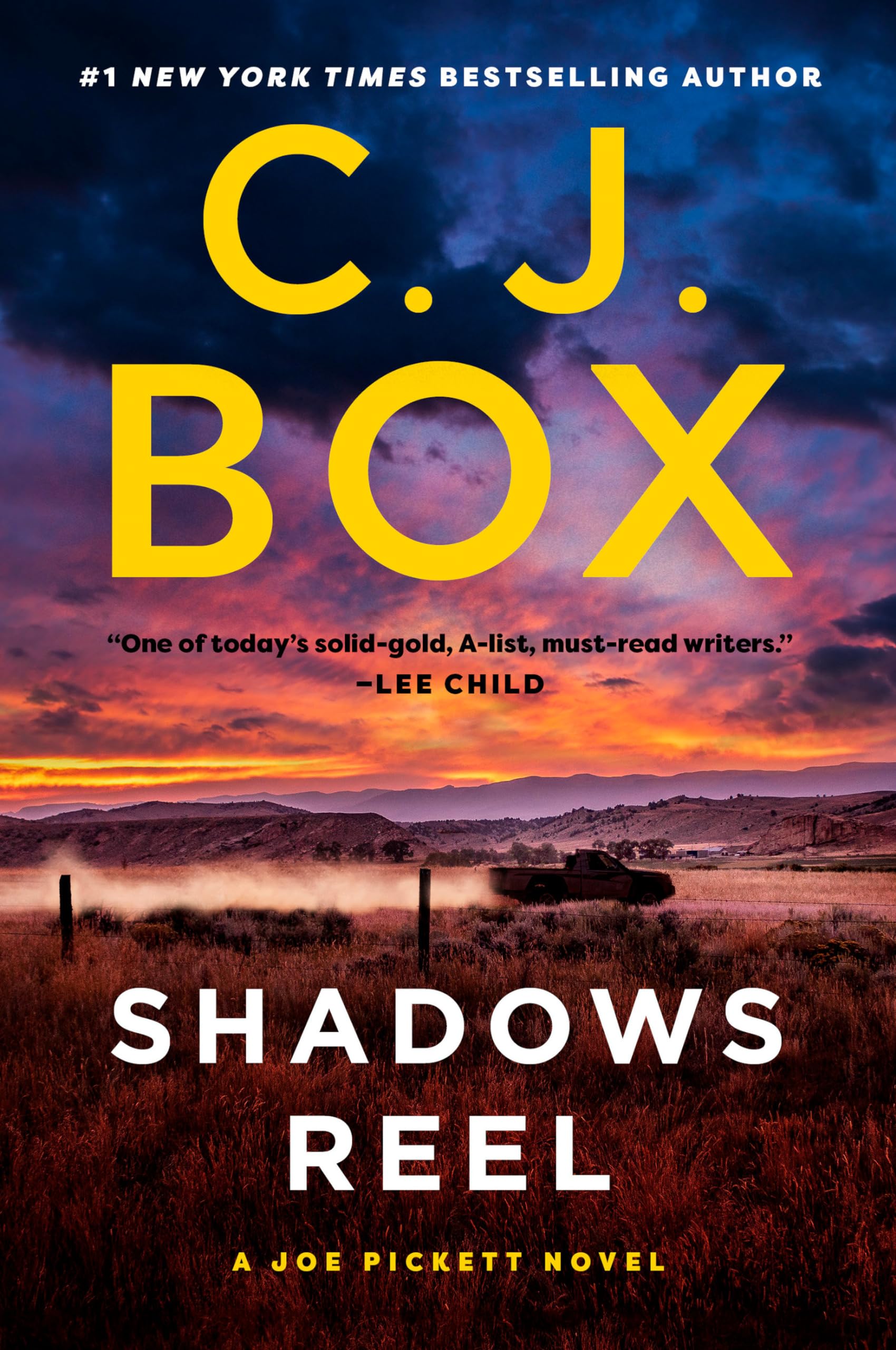 Shadows Reel (A Joe Pickett Novel, Band 22) Contemporary literature