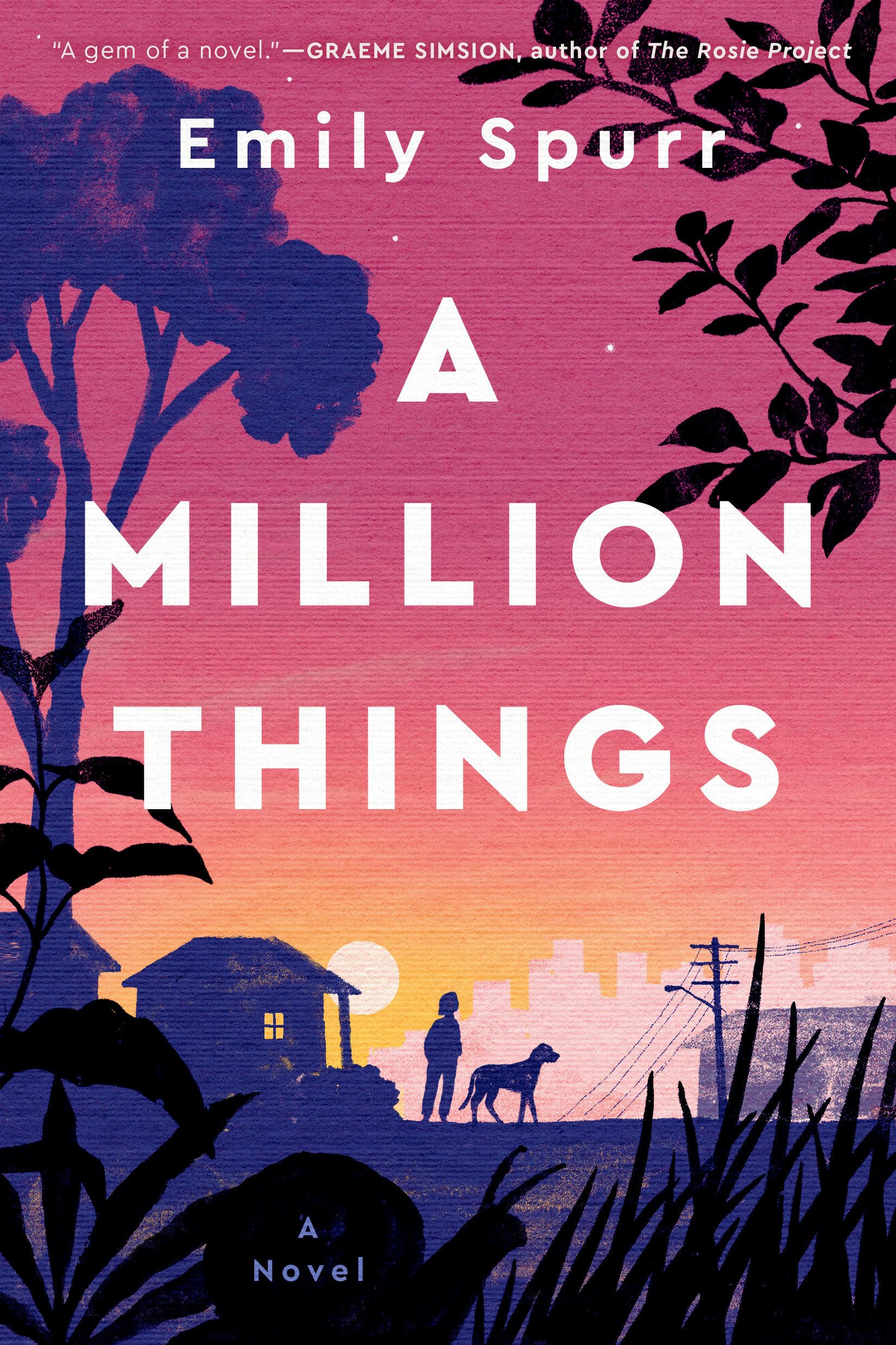 A Million Things Contemporary literature Books
