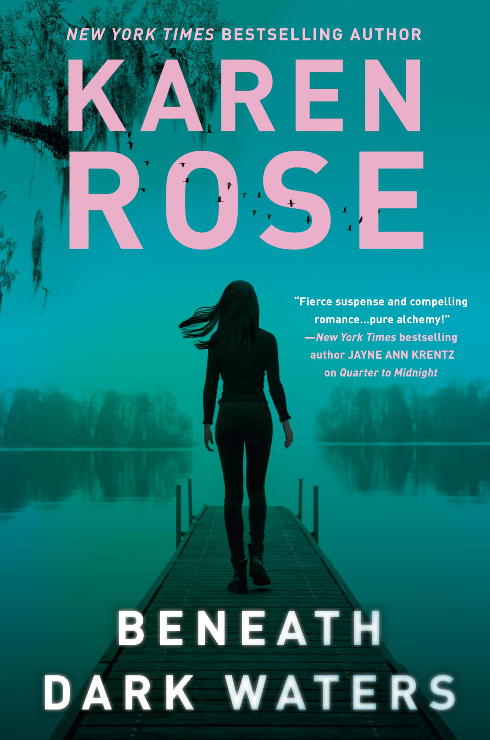 Beneath Dark Waters (A New Orleans Novel, Band 2) Contemporary literature