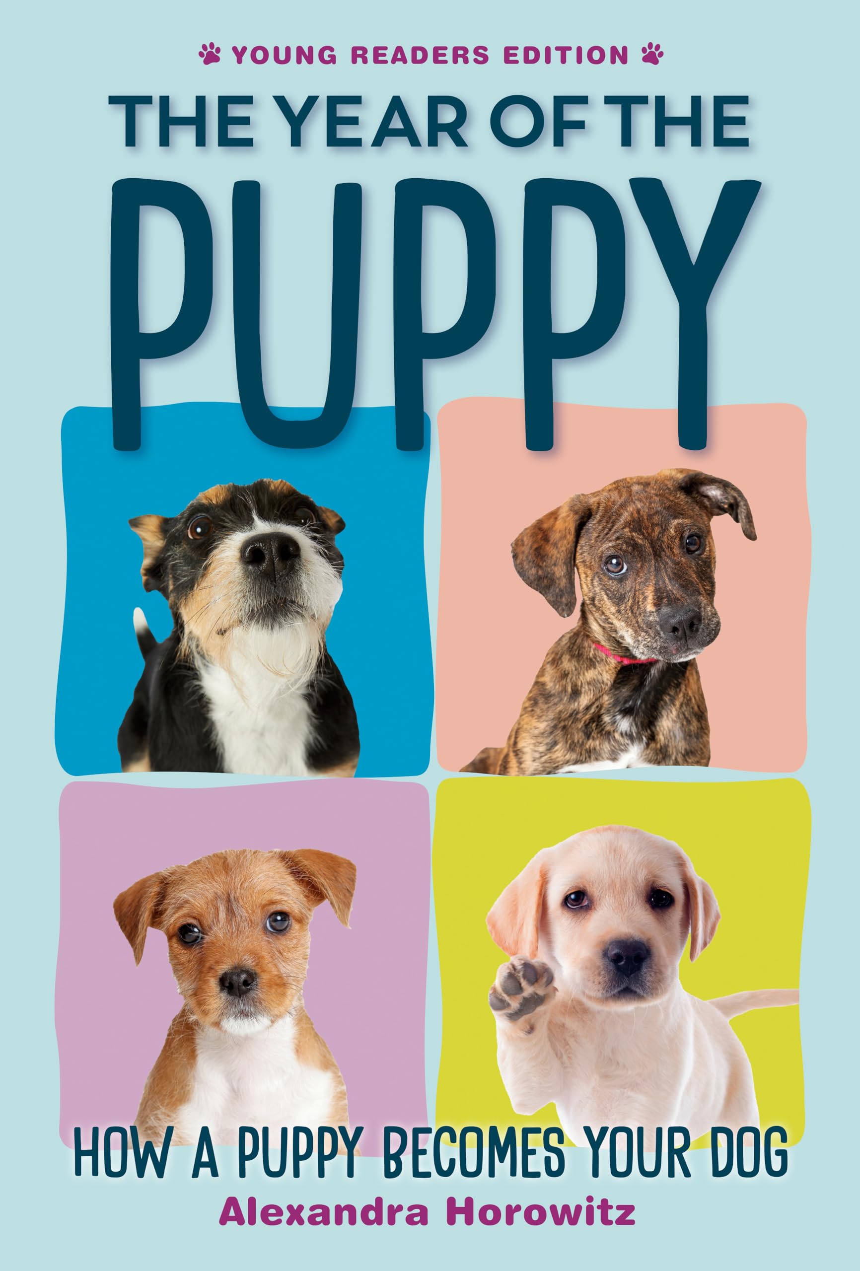The Year of the Puppy: How a Puppy Becomes Your Dog Non-fiction