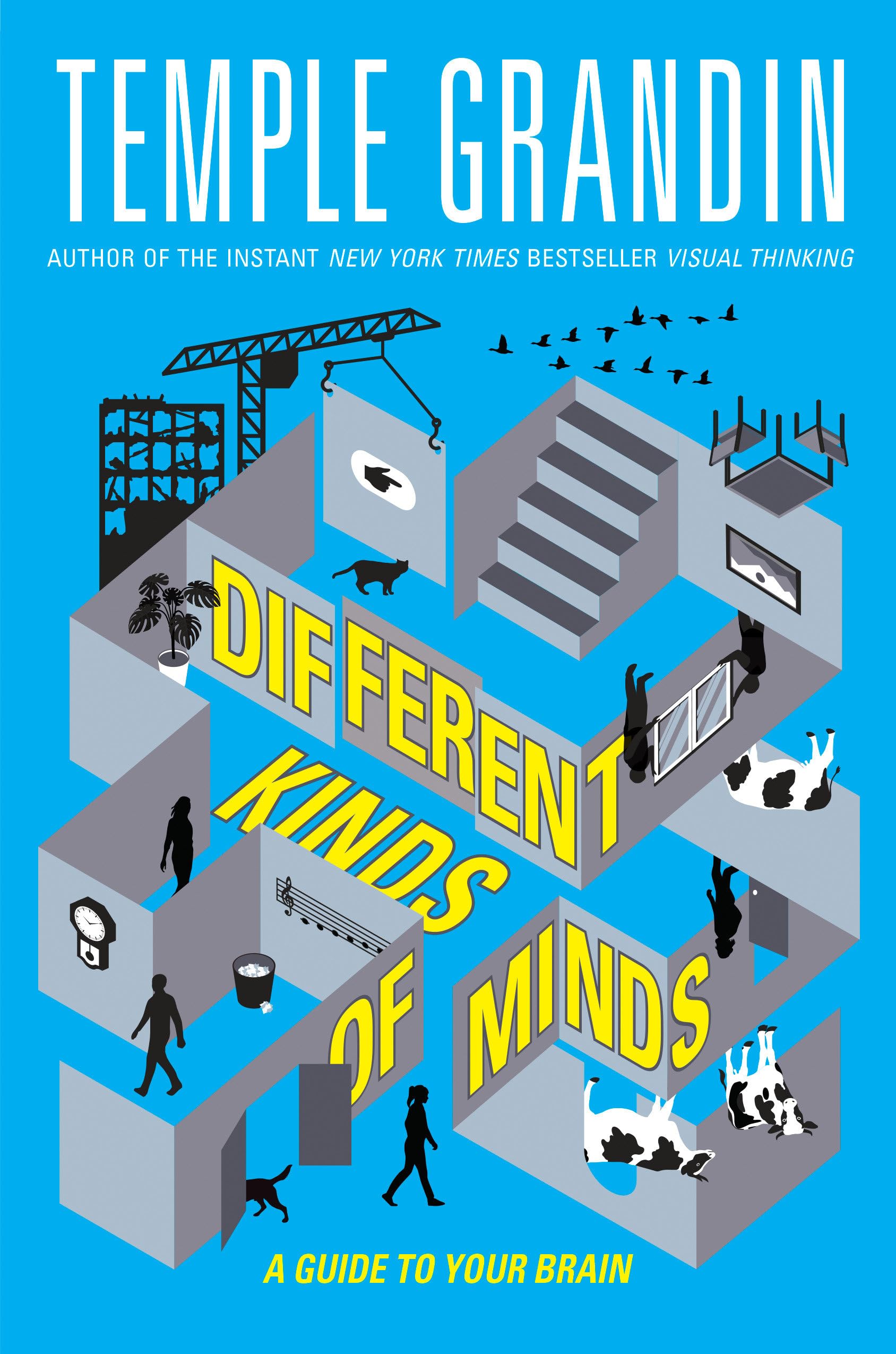 Different Kinds of Minds: A Guide to Your Brain Non-fiction