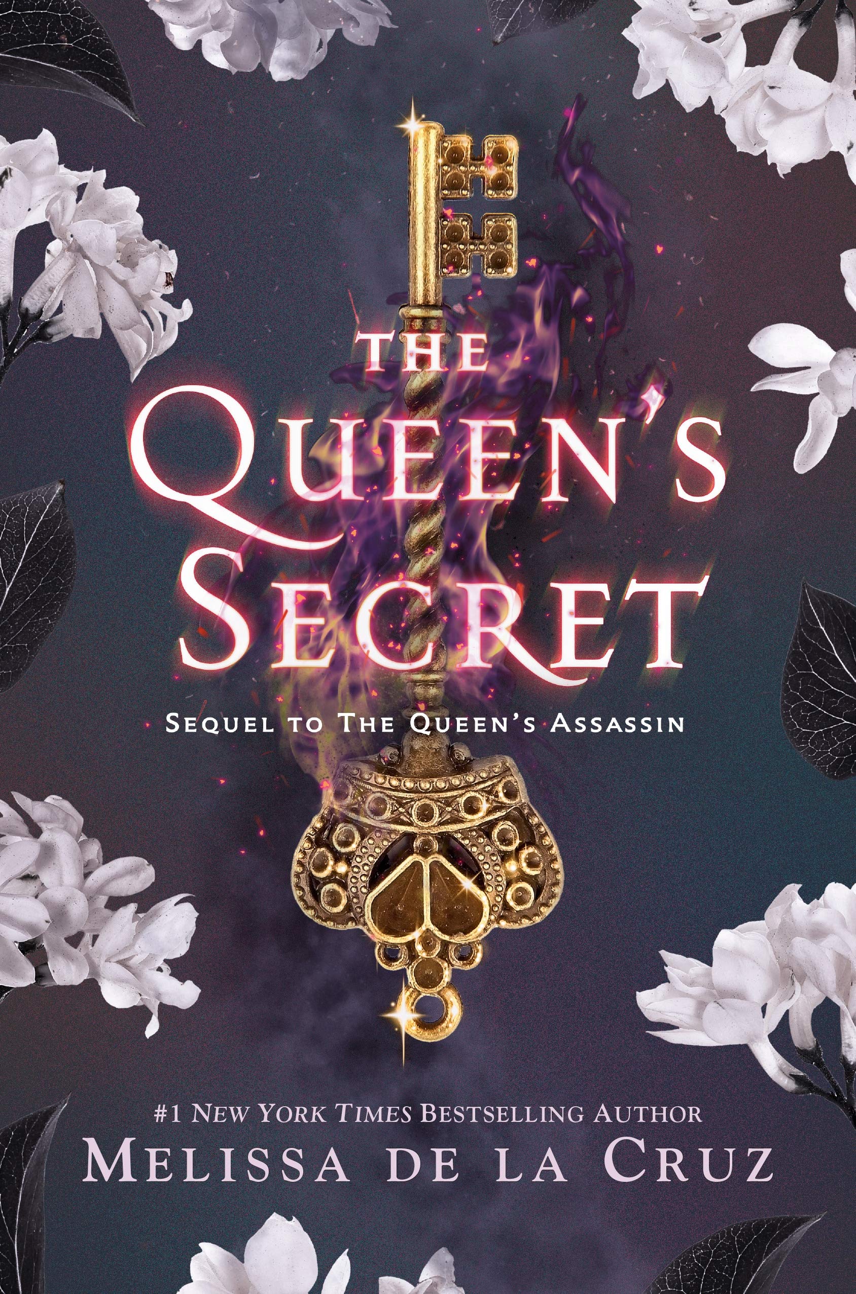 The Queen's Secret Fiction