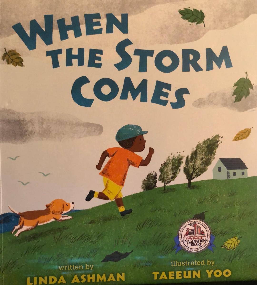 When the Storm Comes Books
