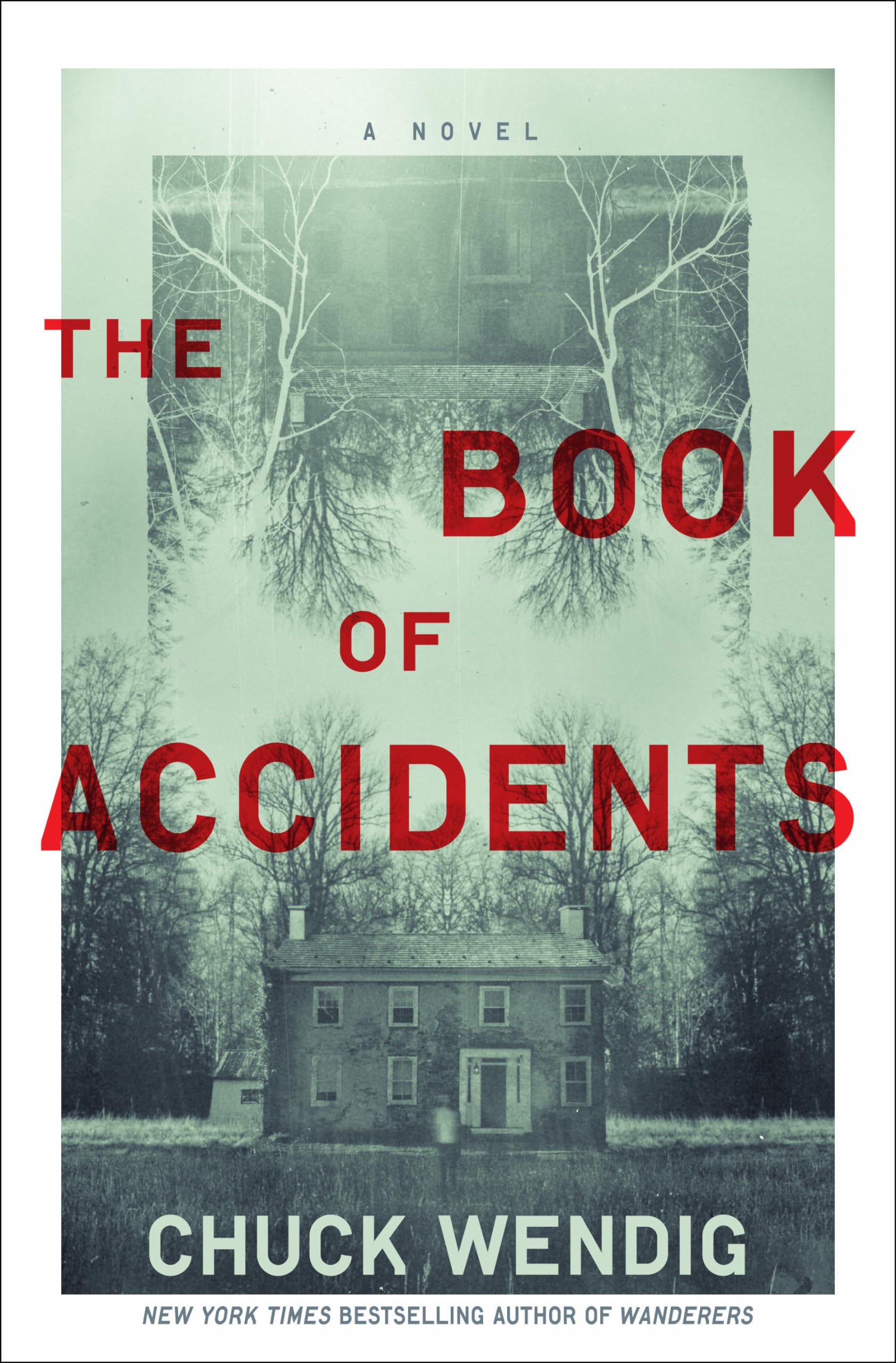 The Book of Accidents: A Novel Horror & Mystery