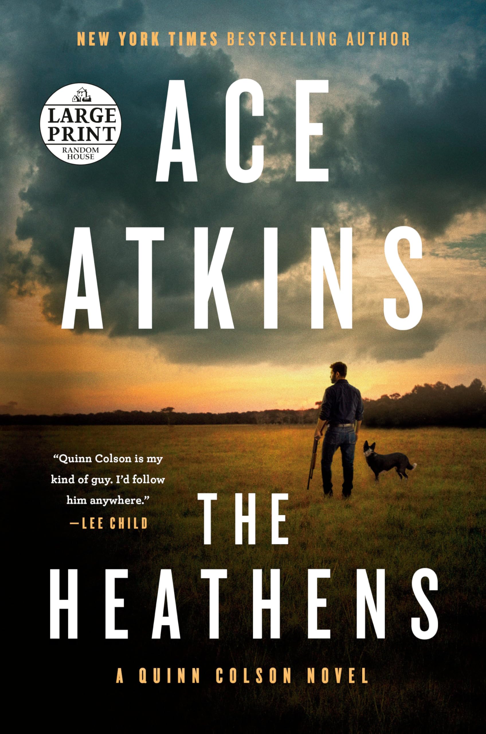The Heathens (A Quinn Colson Novel, Band 11) Action & Adventure