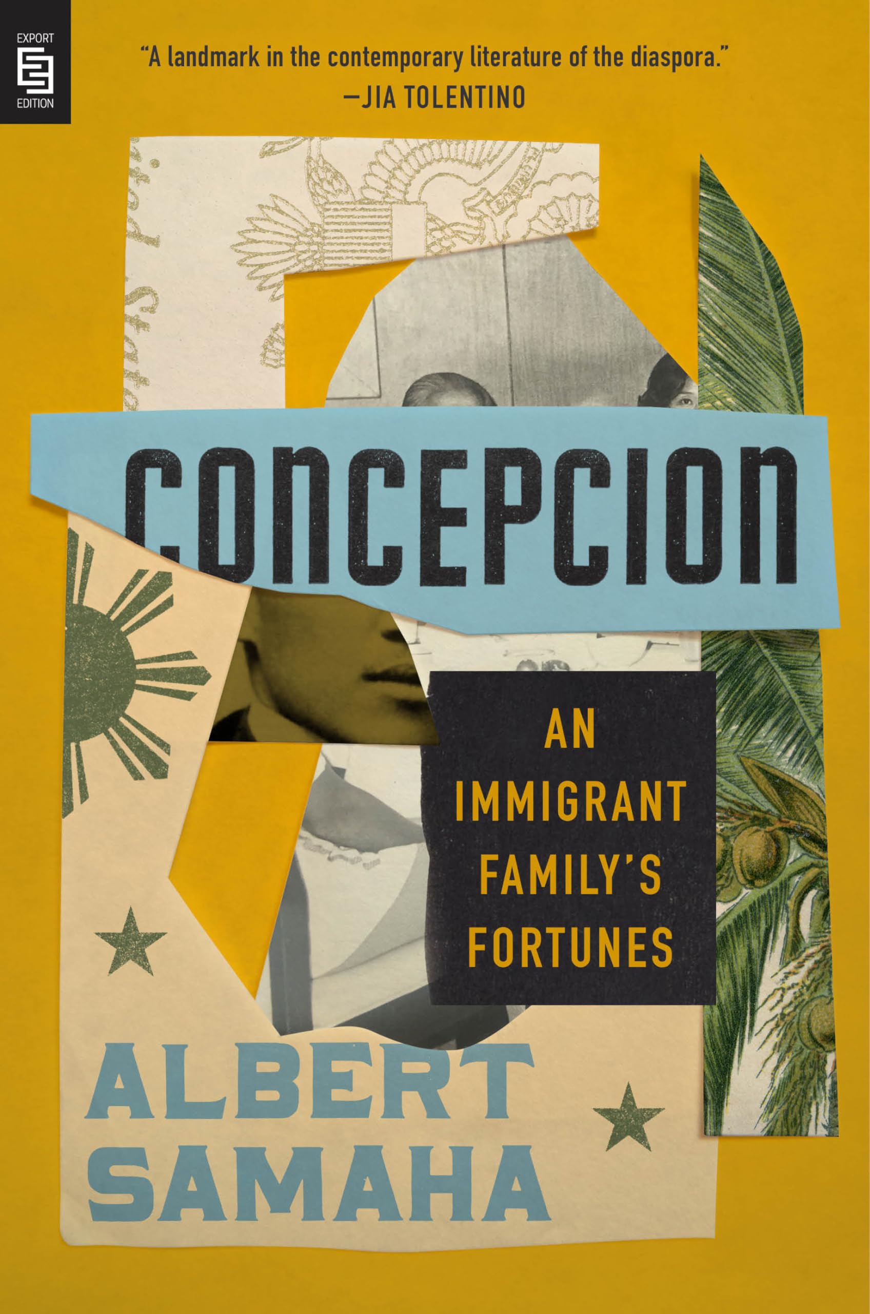 Concepcion: An Immigrant Family's Fortunes Books