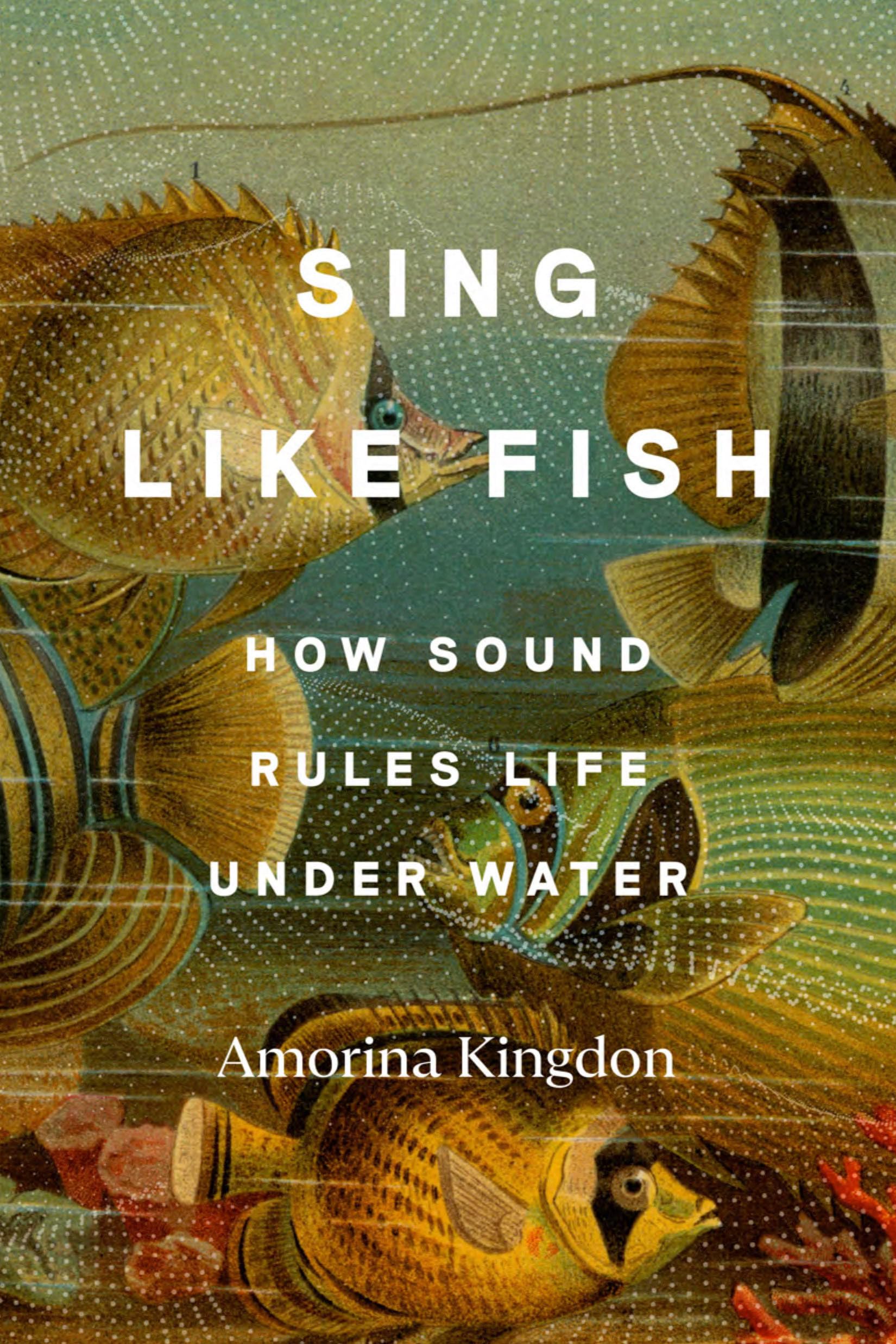 Sing Like Fish Mathematics