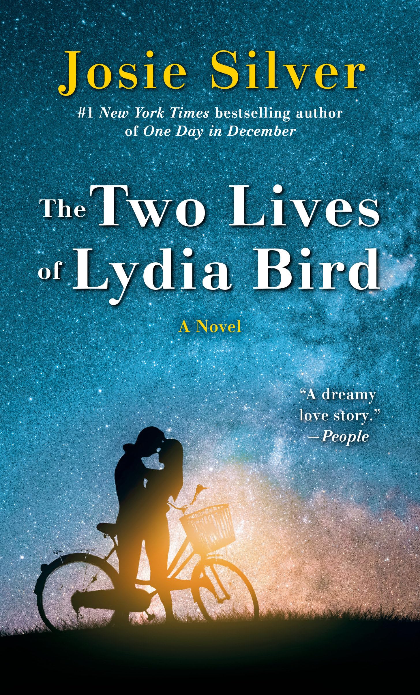 The Two Lives of Lydia Bird: A Novel Contemporary literature