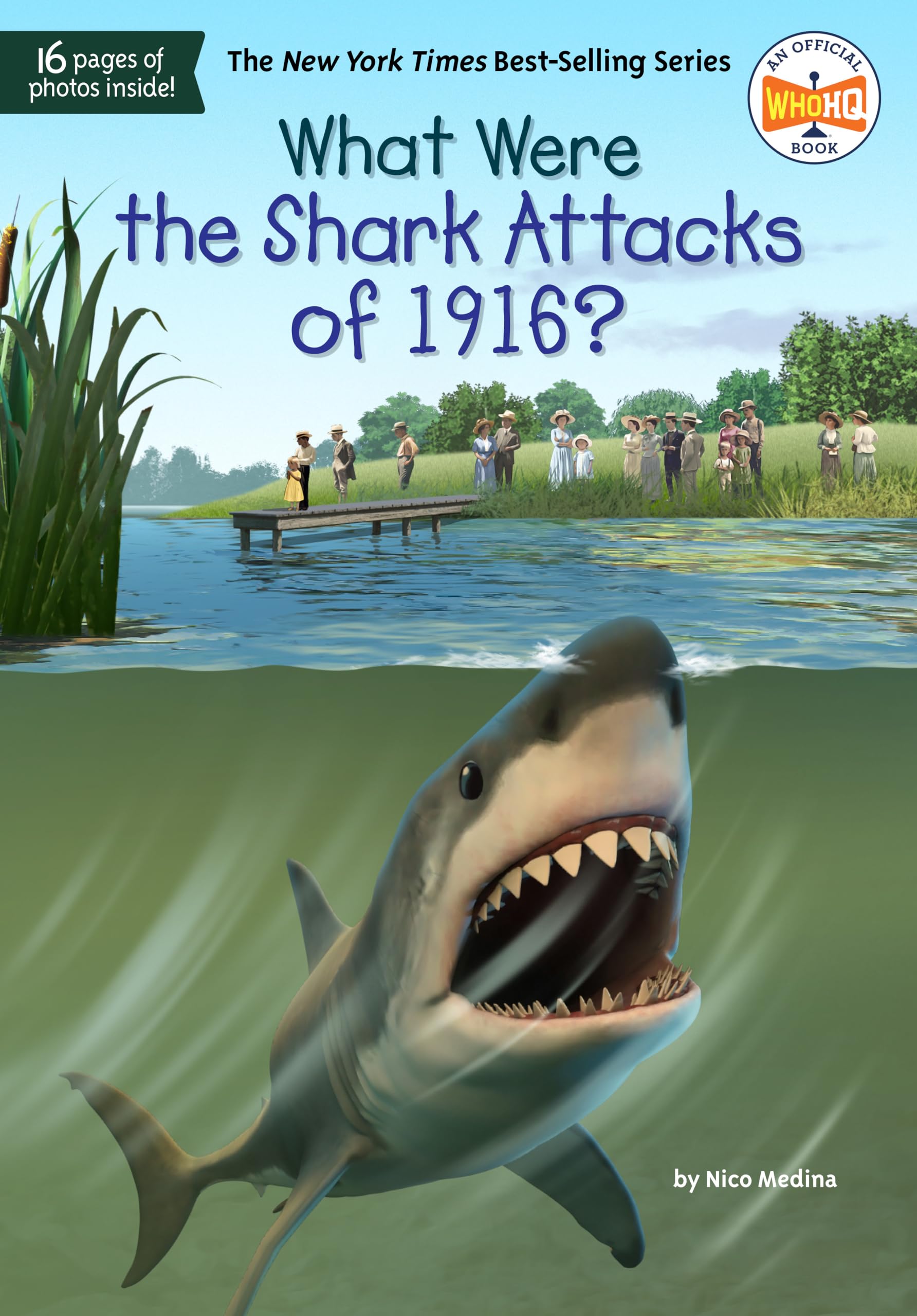 What Were the Shark Attacks of 1916? (What Was?) Non-fiction